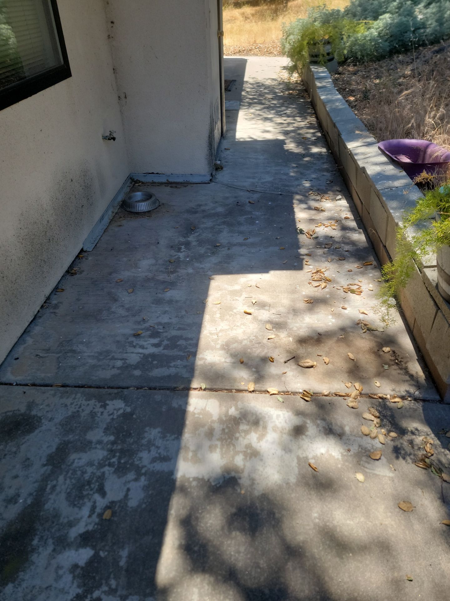 Pecan Concrete Coating for Atascadero Porch and Walkways by MGP Coatings
