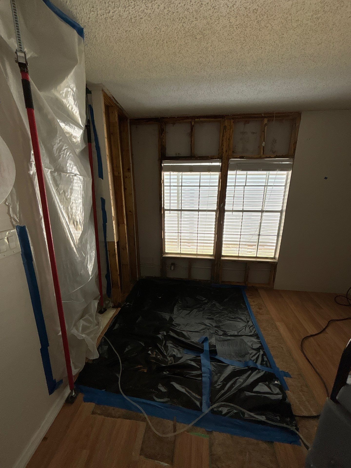 Mold Remediation Palmetto by Ampm Restoration Services 