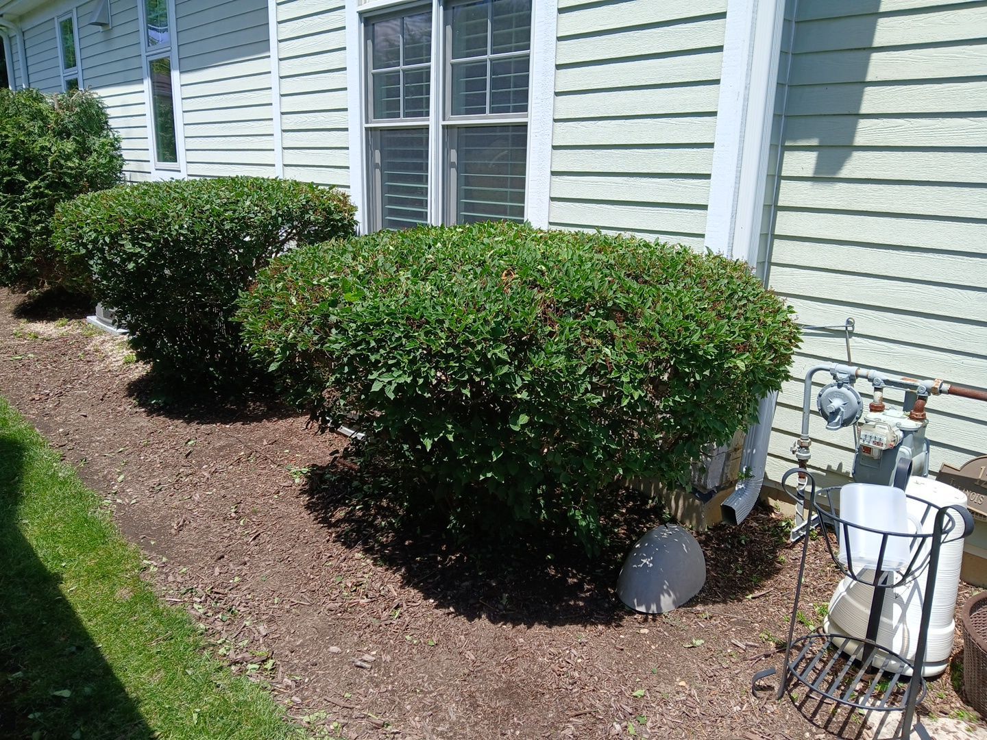 Lisa C. - Arlington Heights, IL by A&N