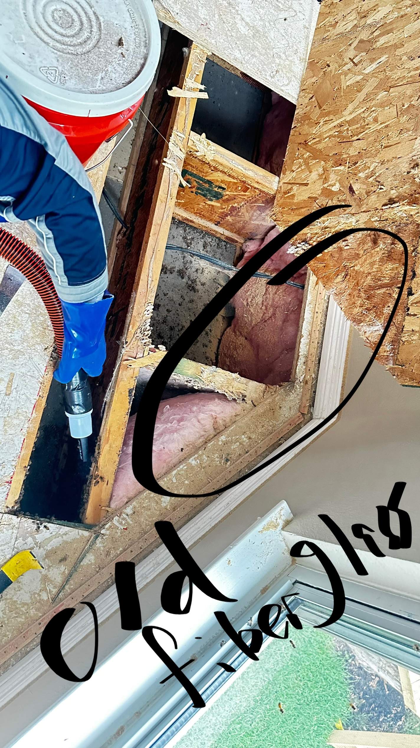 Feet Bees by Rockwall Honey Bee Company