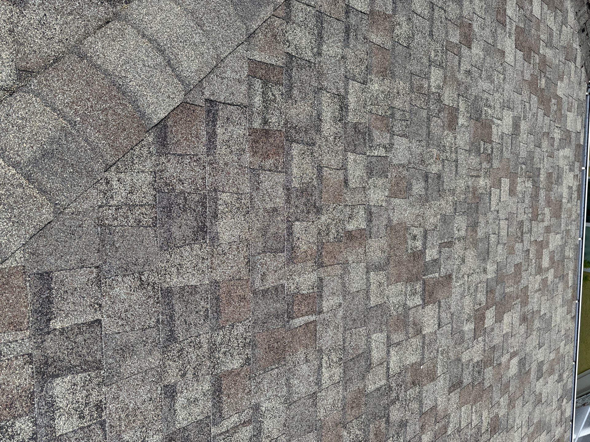 Project in Seattle by Connolly Construction Company