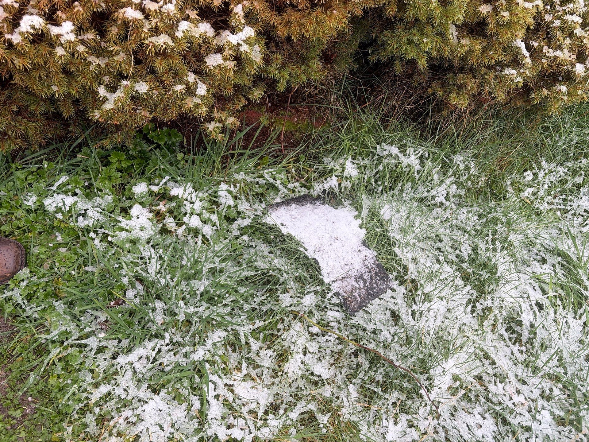 Roof in Lake Stevens by Connolly Construction Company