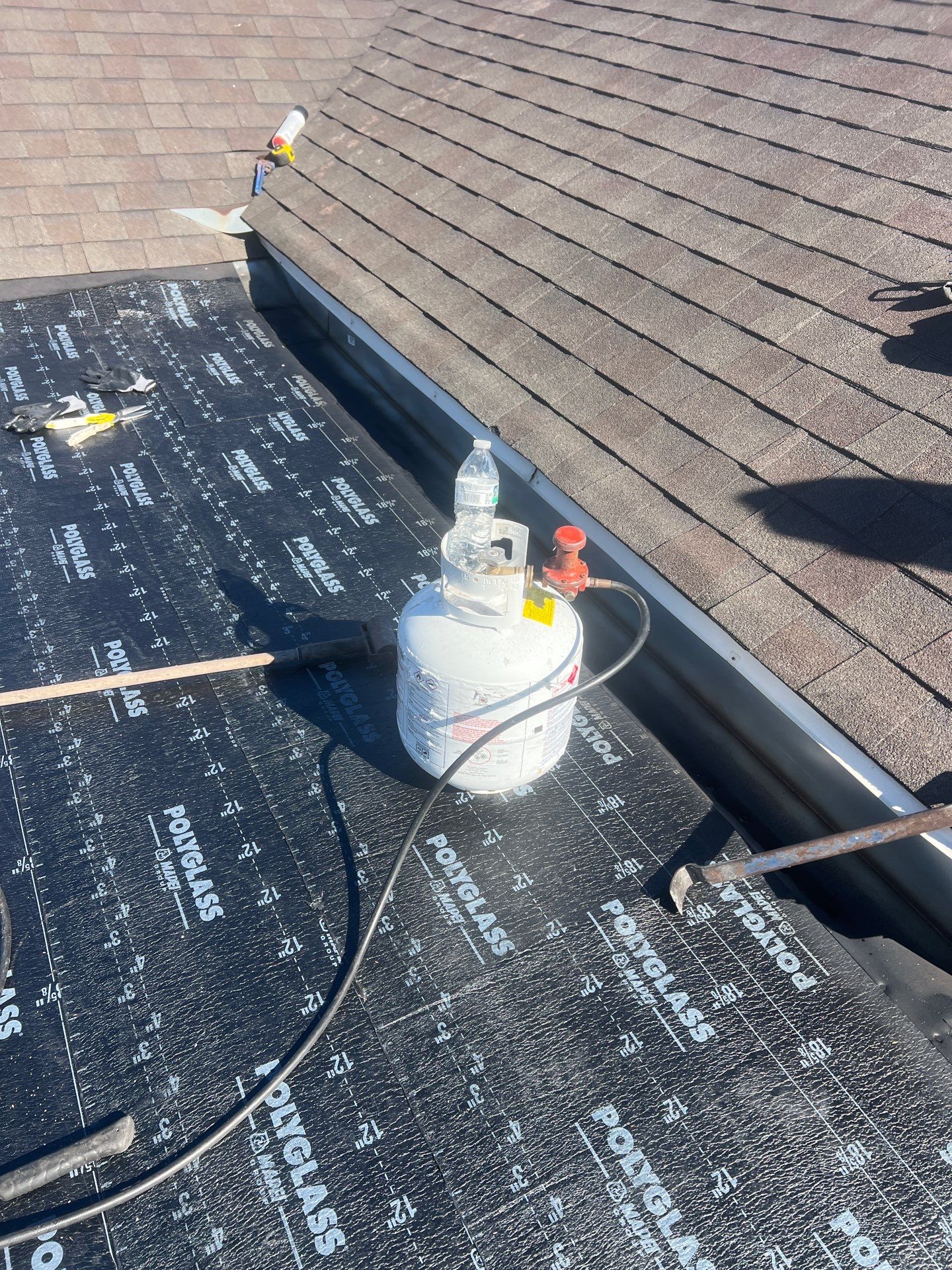 It Ain't Easy getting Shady  by Bayfront Roofing and Construction