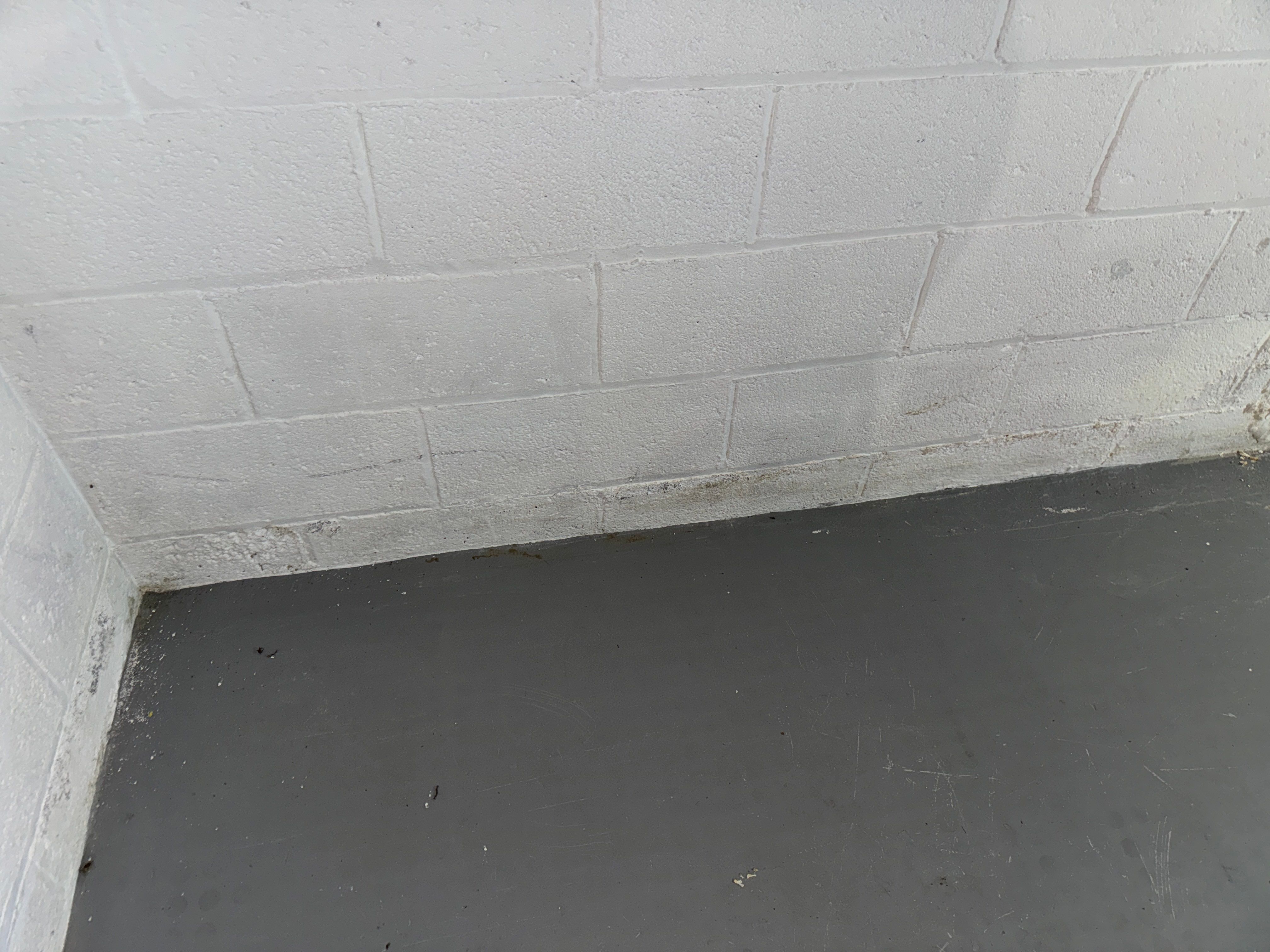 Interior French Drain Boonton NJ by Pure Service Pro, LLC 