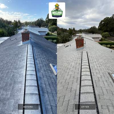 Shingle Roof Cleaning