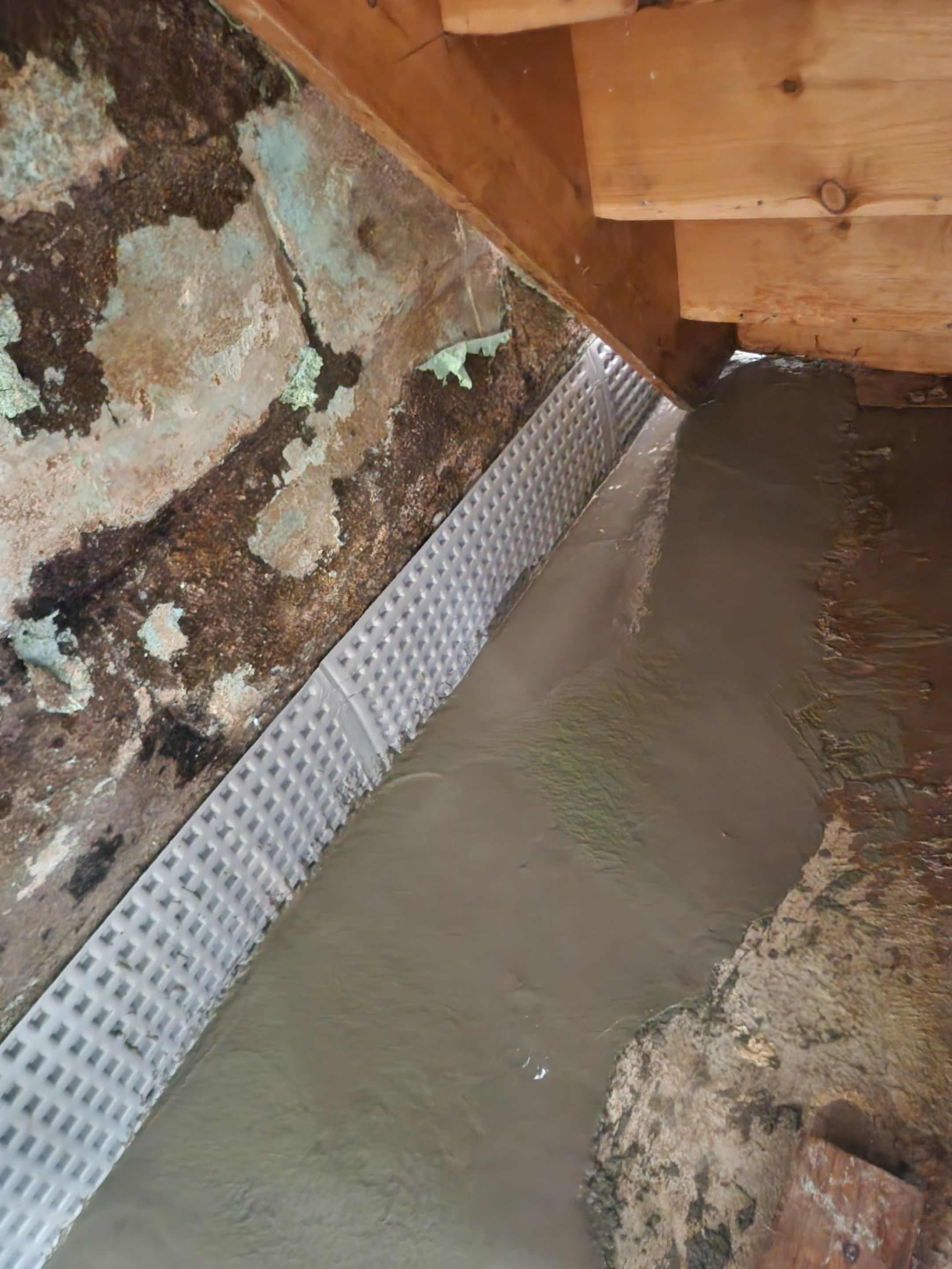 Interior French Drain West Orange NJ by Pure Service Pro, LLC 