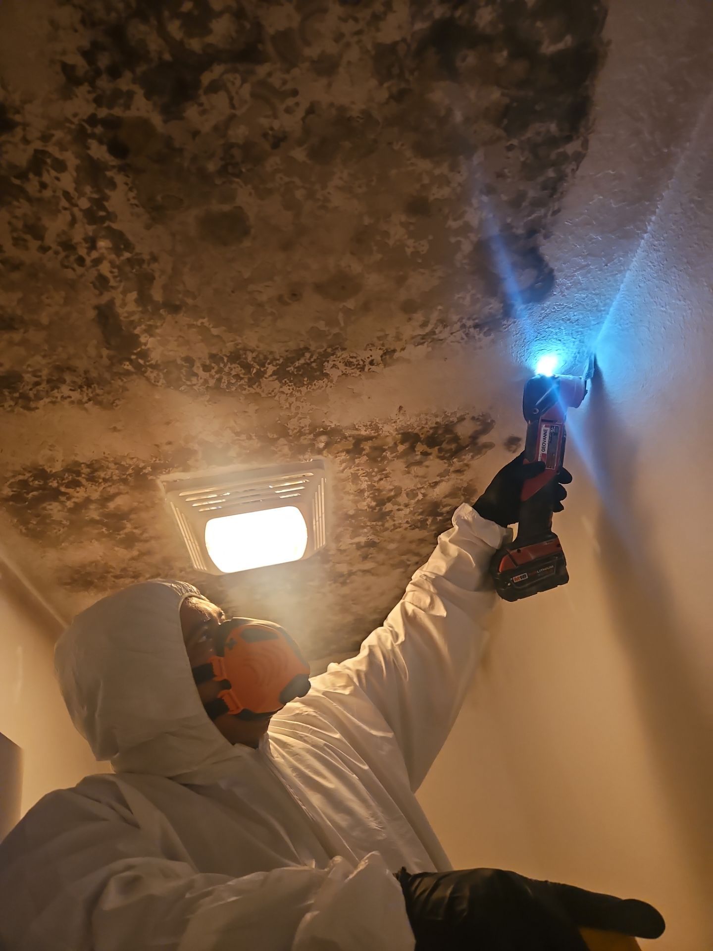 Mold Damage Removal In Palmetto, FL by Ampm Restoration Services