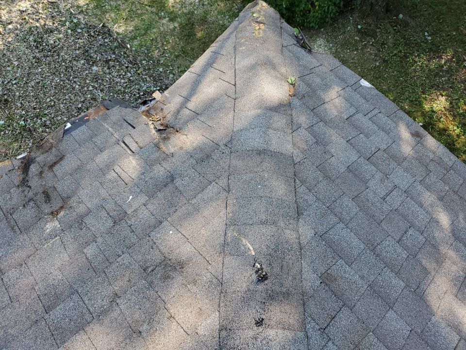 Storm Damaged Tree Removal  by Mike Jones & Sons Tree Service LLC 