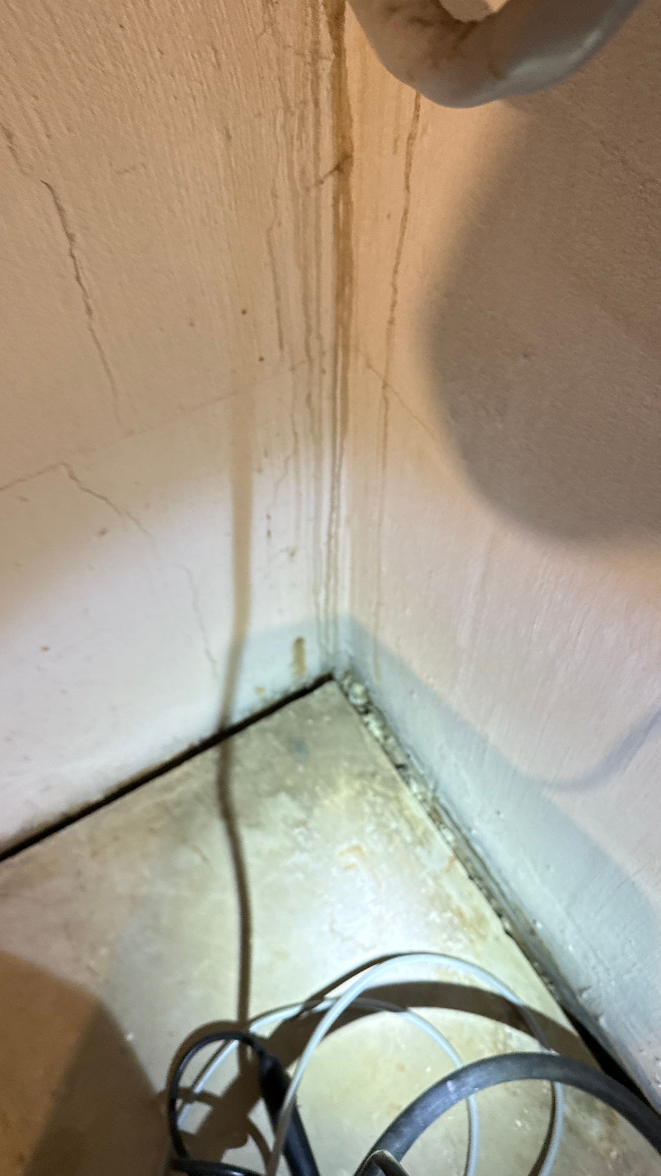 Interior French Drain in Princeton, NJ by Pure Service Pro, LLC 