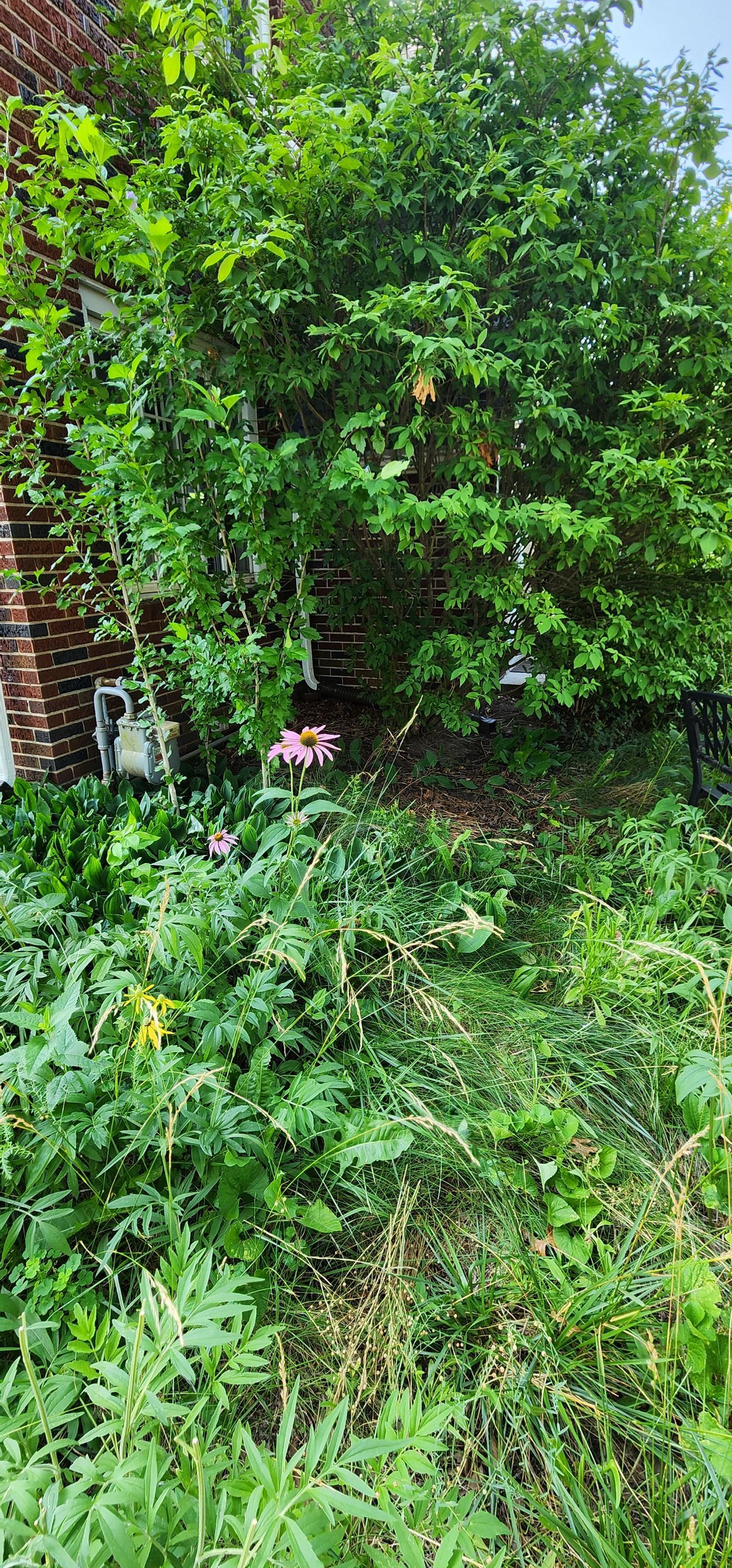 Interior Waterproofing by Toledo Basement Repair 