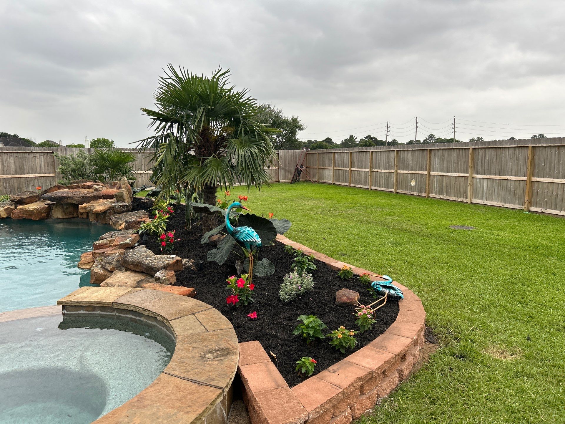 🌿 Larry Caudillo’s Poolside Landscape Revamp by Texas Urban Elements