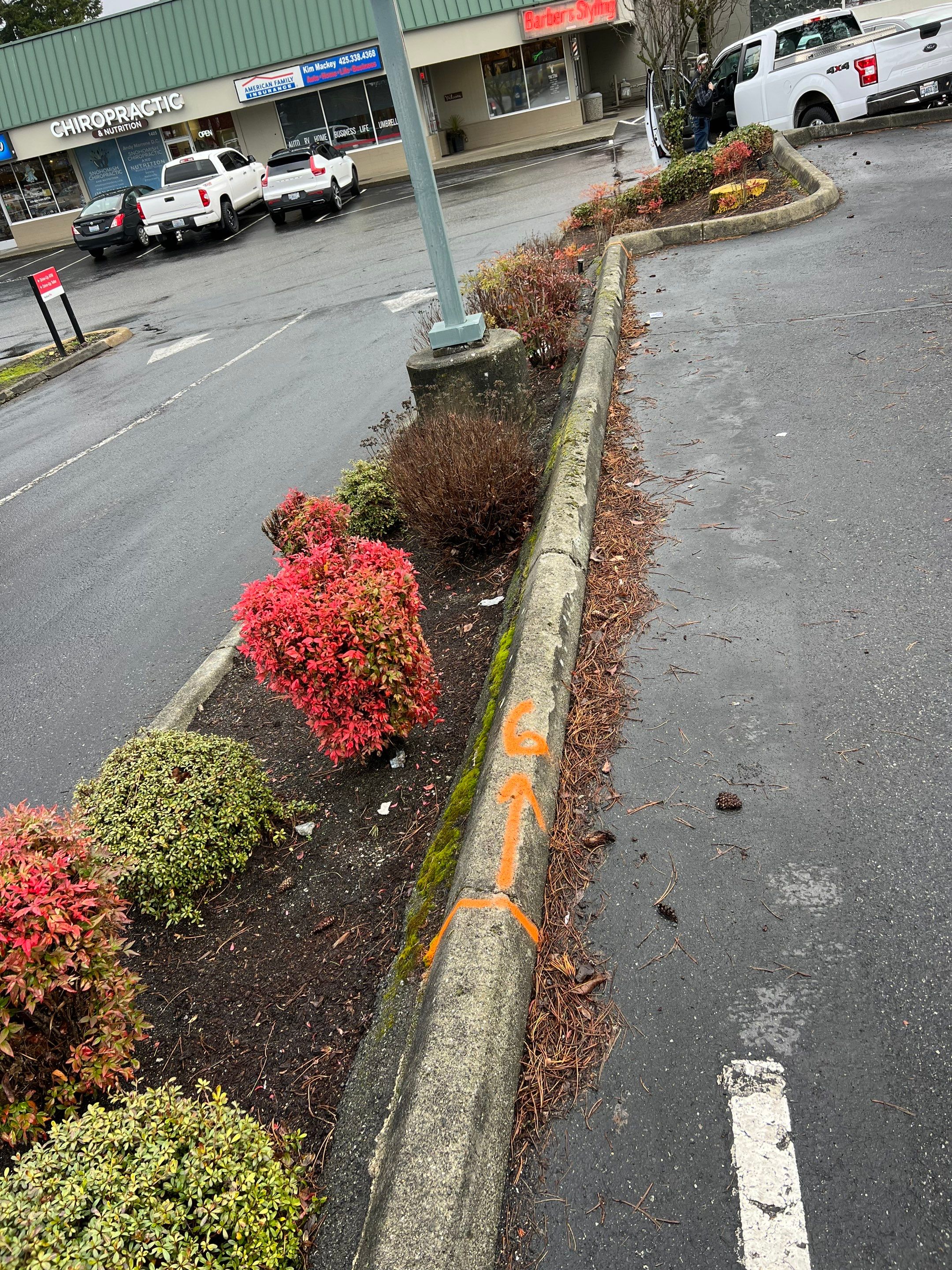 Amanda | Concrete Curb by Jireh Asphalt & Concrete Inc 