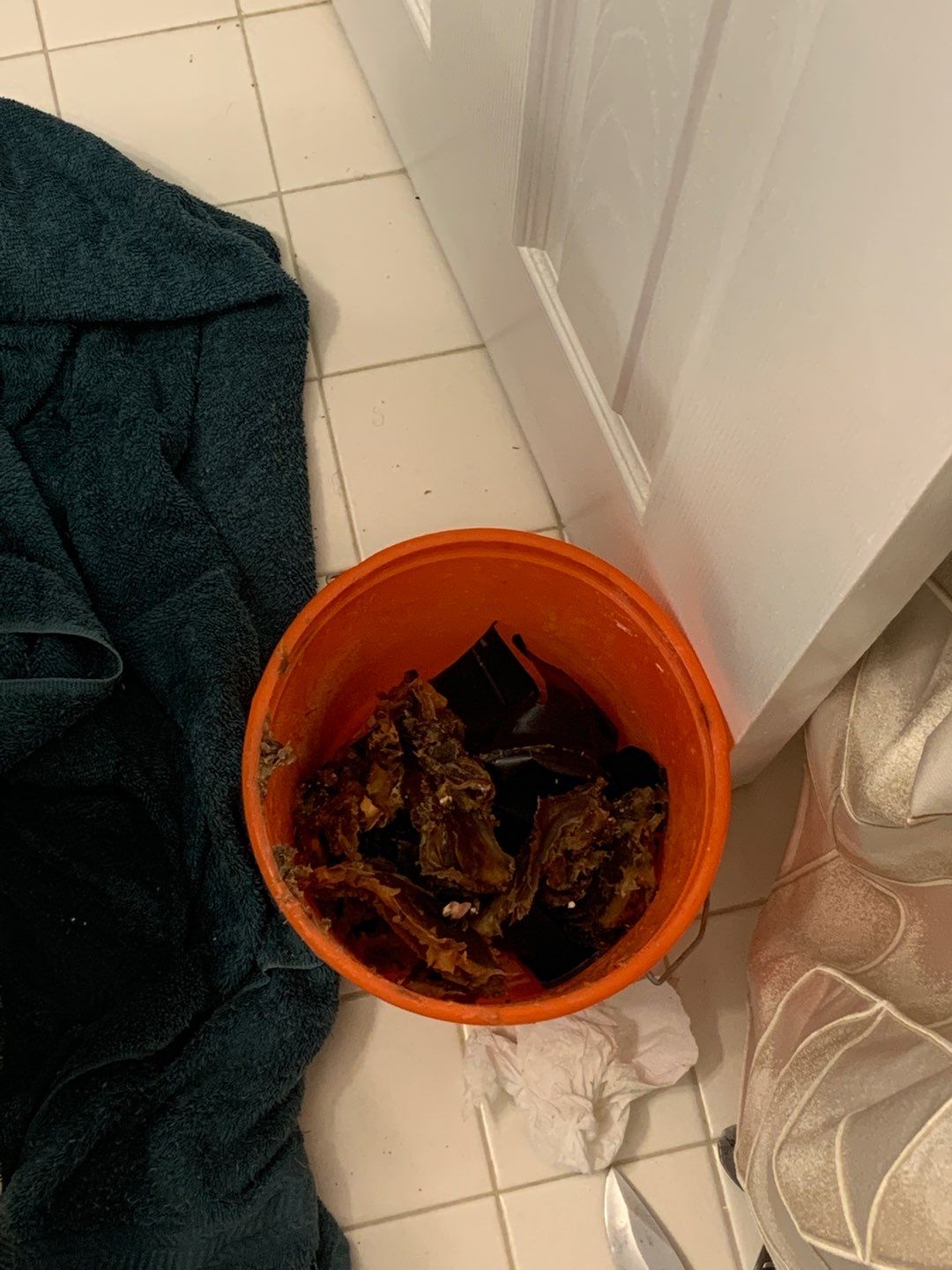 Toilet Leak Repair by A1 NERDY HOMES LLC