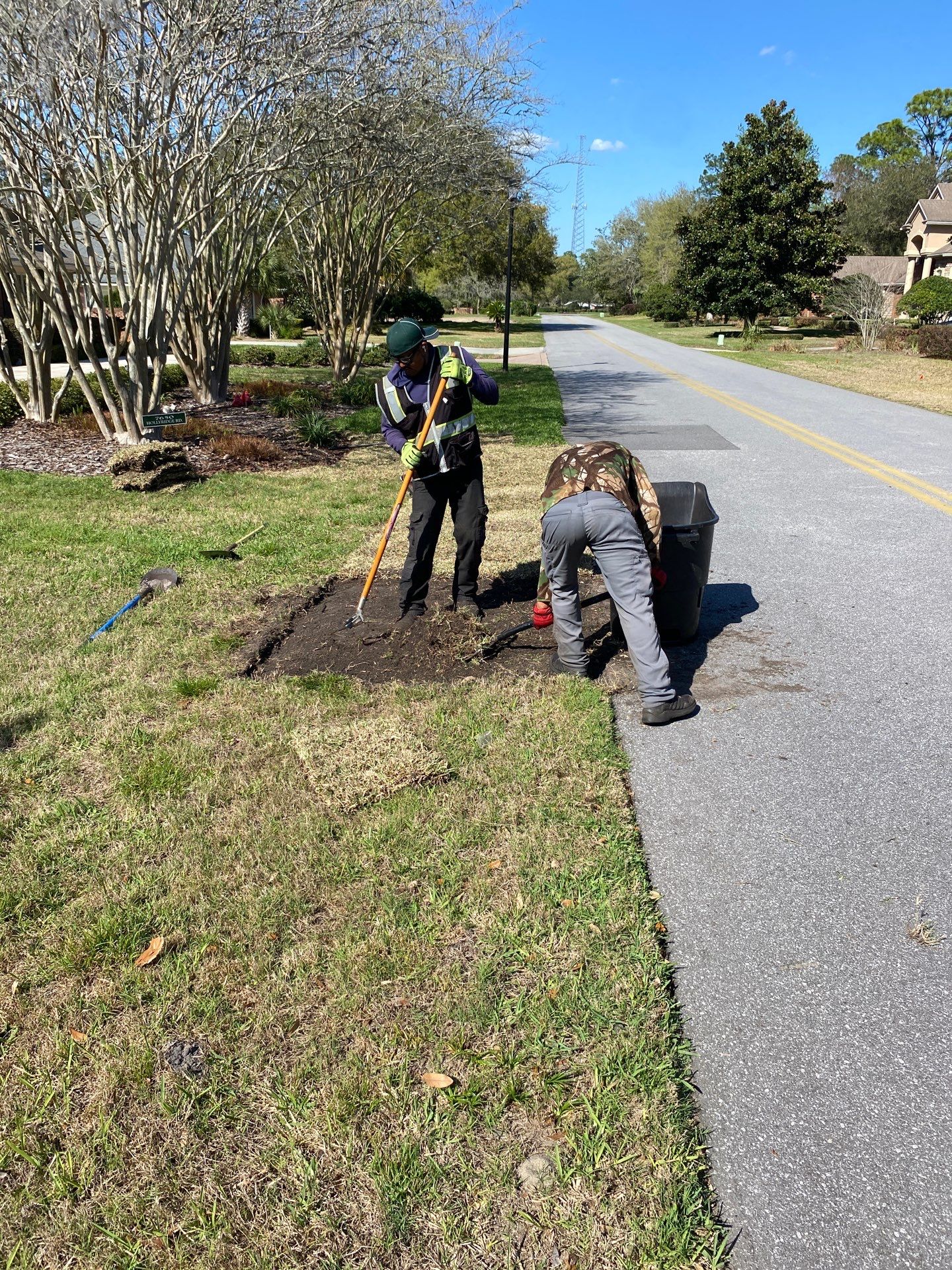 Deerwood Resident | Sod Install & Shrub Removal by ProGreen Services