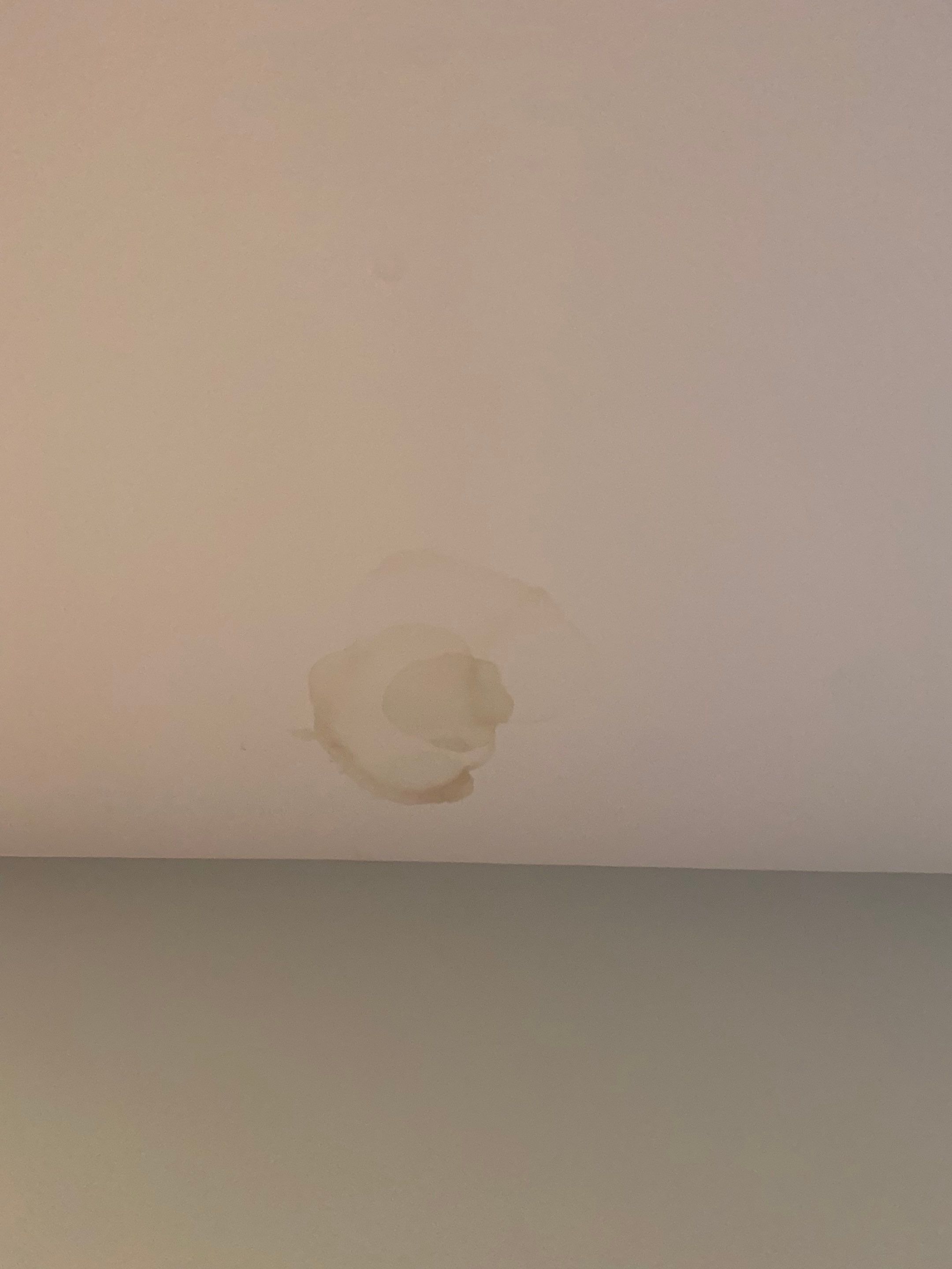 Hail Damage using Geortown Gray by Just Brilliant Restoration JBR