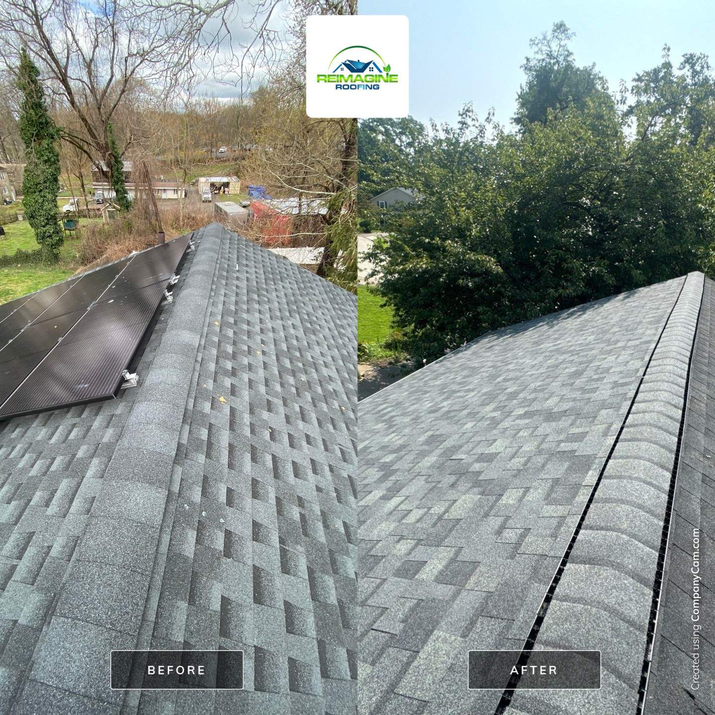 Silver Birch Shingles by Reimagine Roofing