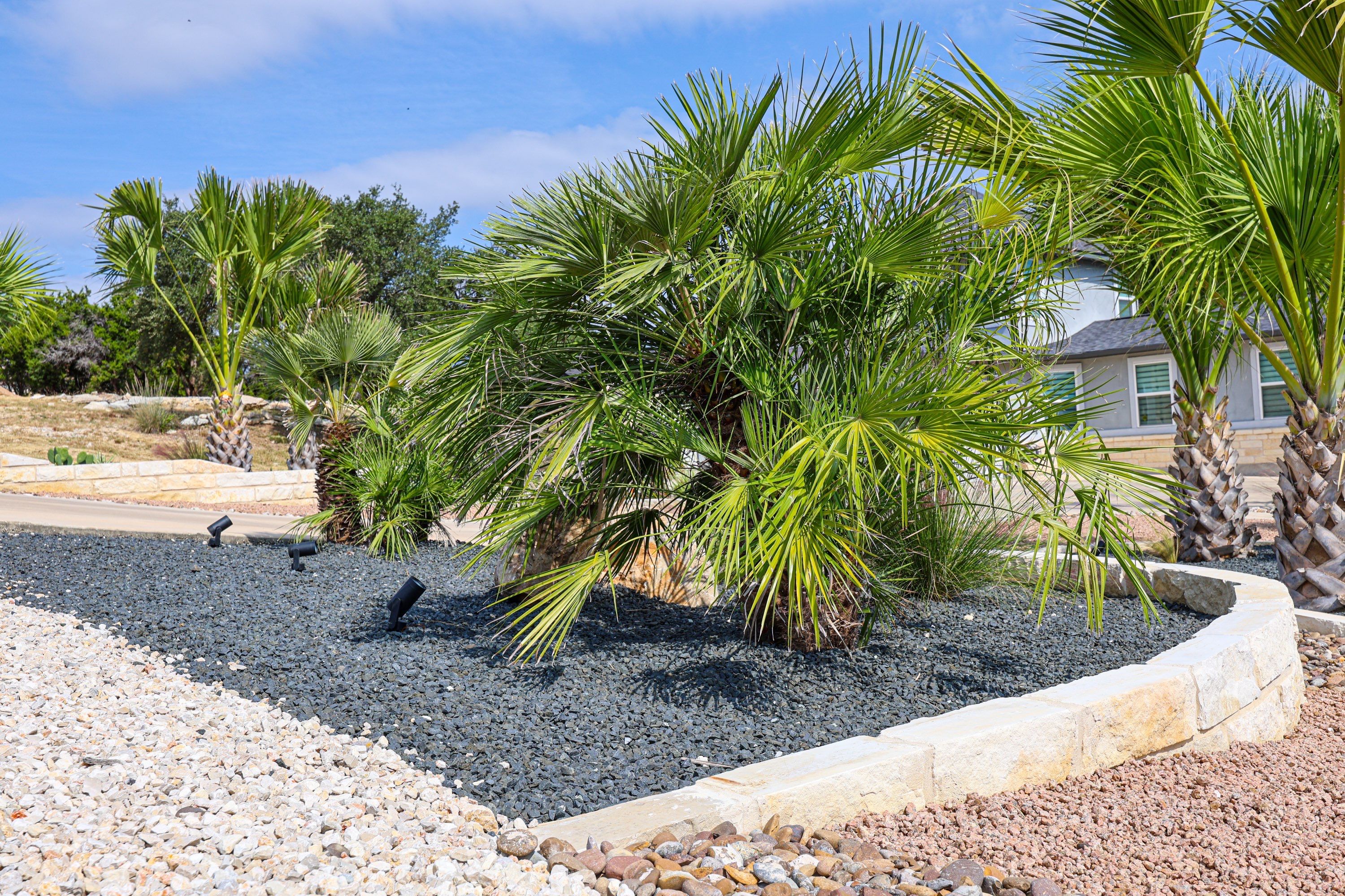 Mountain Spring - Canyon Lake, TX by Hole In One Lawns, LLC