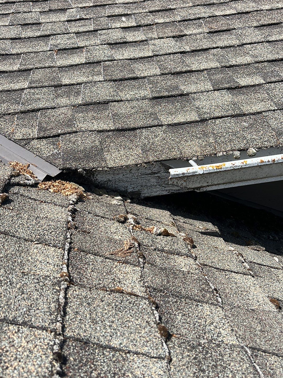 Residential Roofing Installation using IKO Dynasty (Color: Biscayne) by Orezona Building & Roofing Company, Inc.