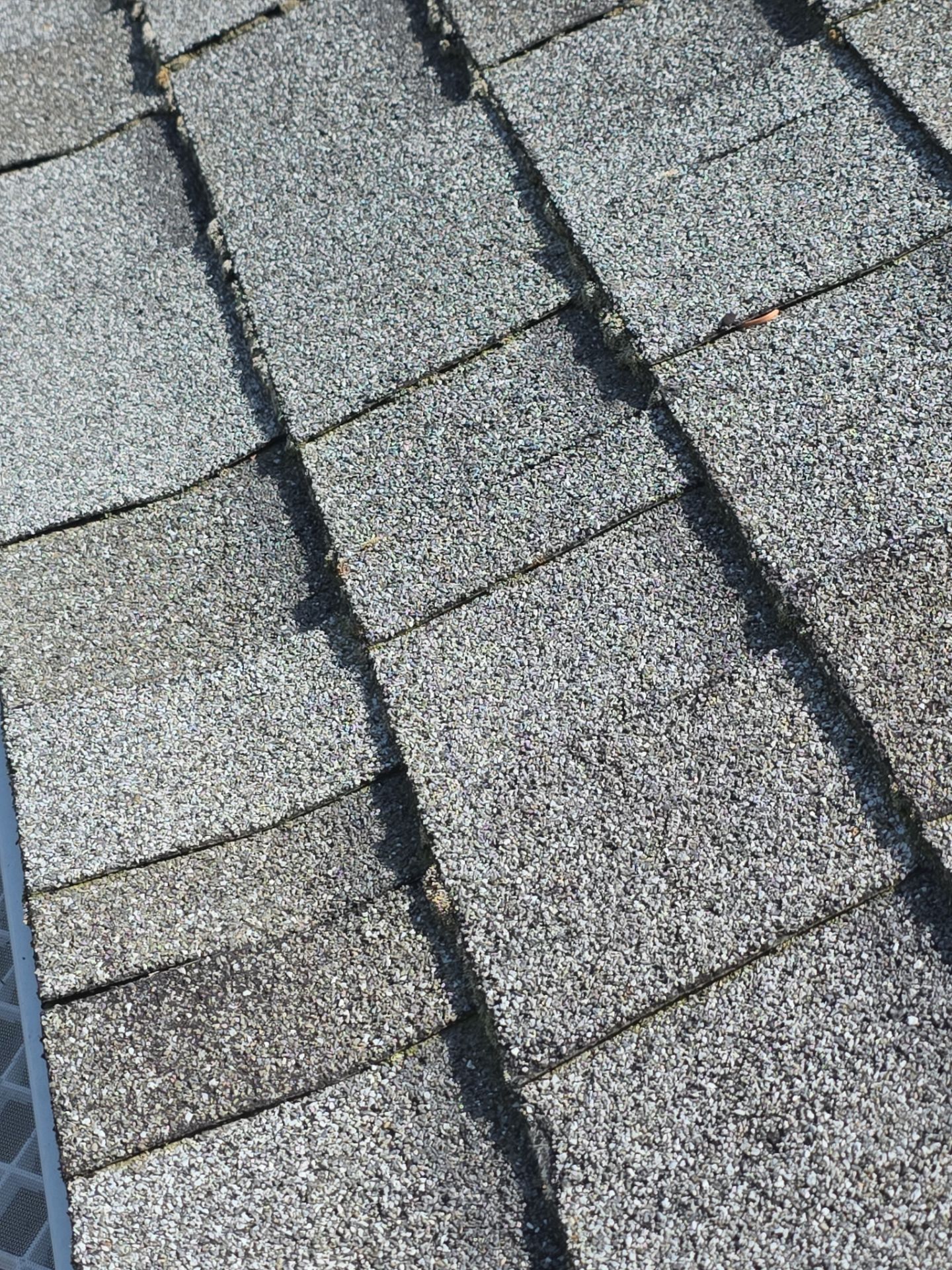 Roof Rejuvenation using Roof Maxx Treatment by Roof Maxx of Folsom