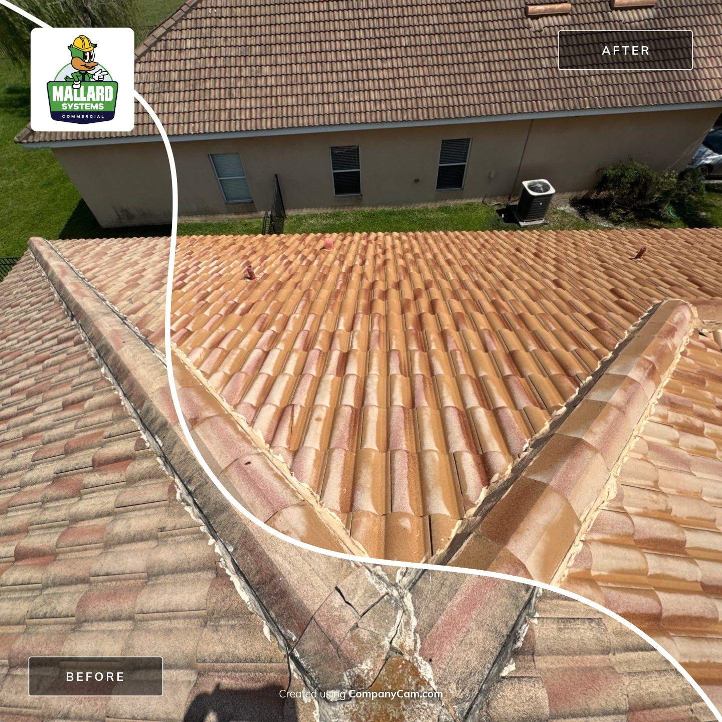 Tile Roof Cleaning by Mallard Systems