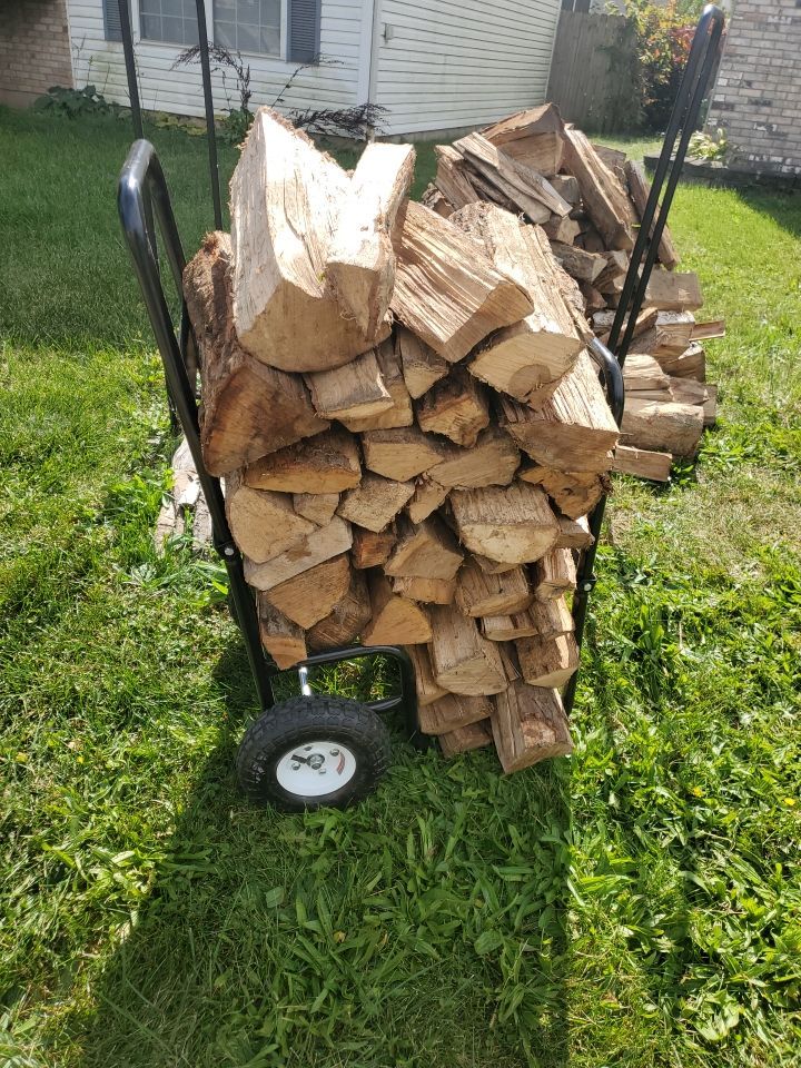 Tree Removal using Tree Removal by Mike Jones & Sons Tree Service LLC 