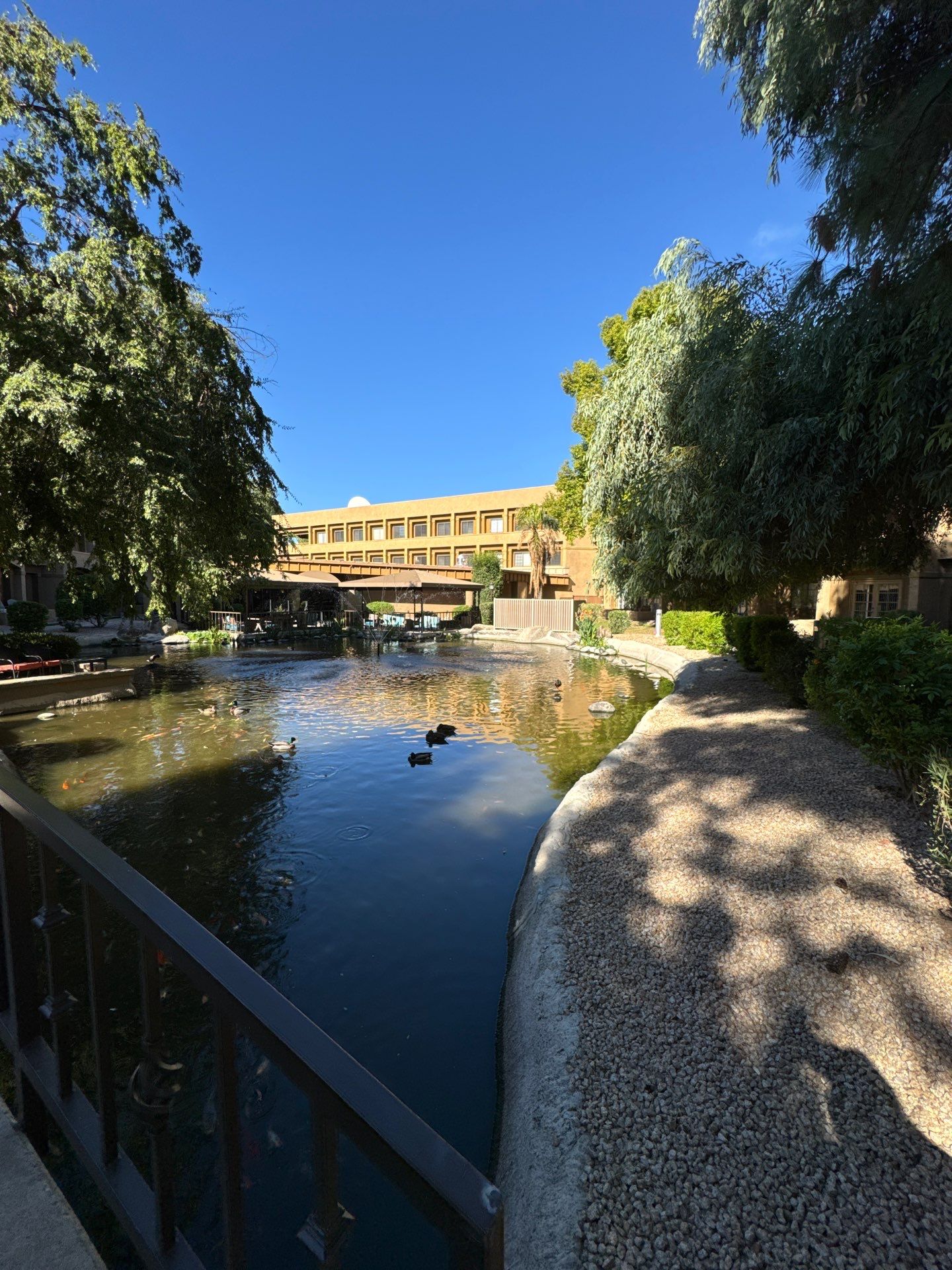 Project in Glendale by Crush Development Services LLC