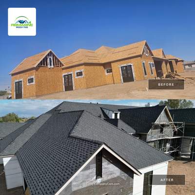 Shadow Gray Presidential Shingles