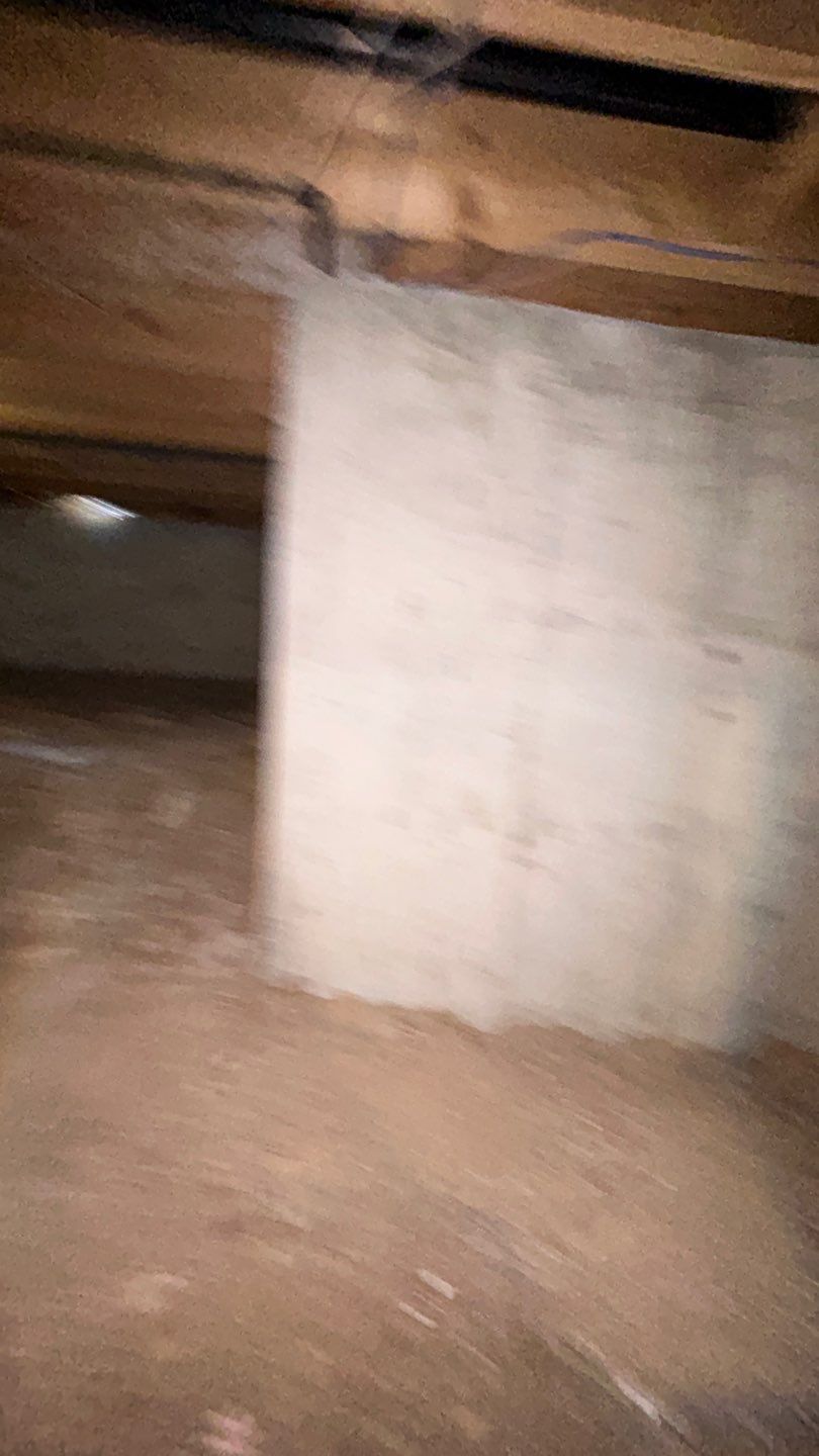 Mold Damage by Accountable Home Services