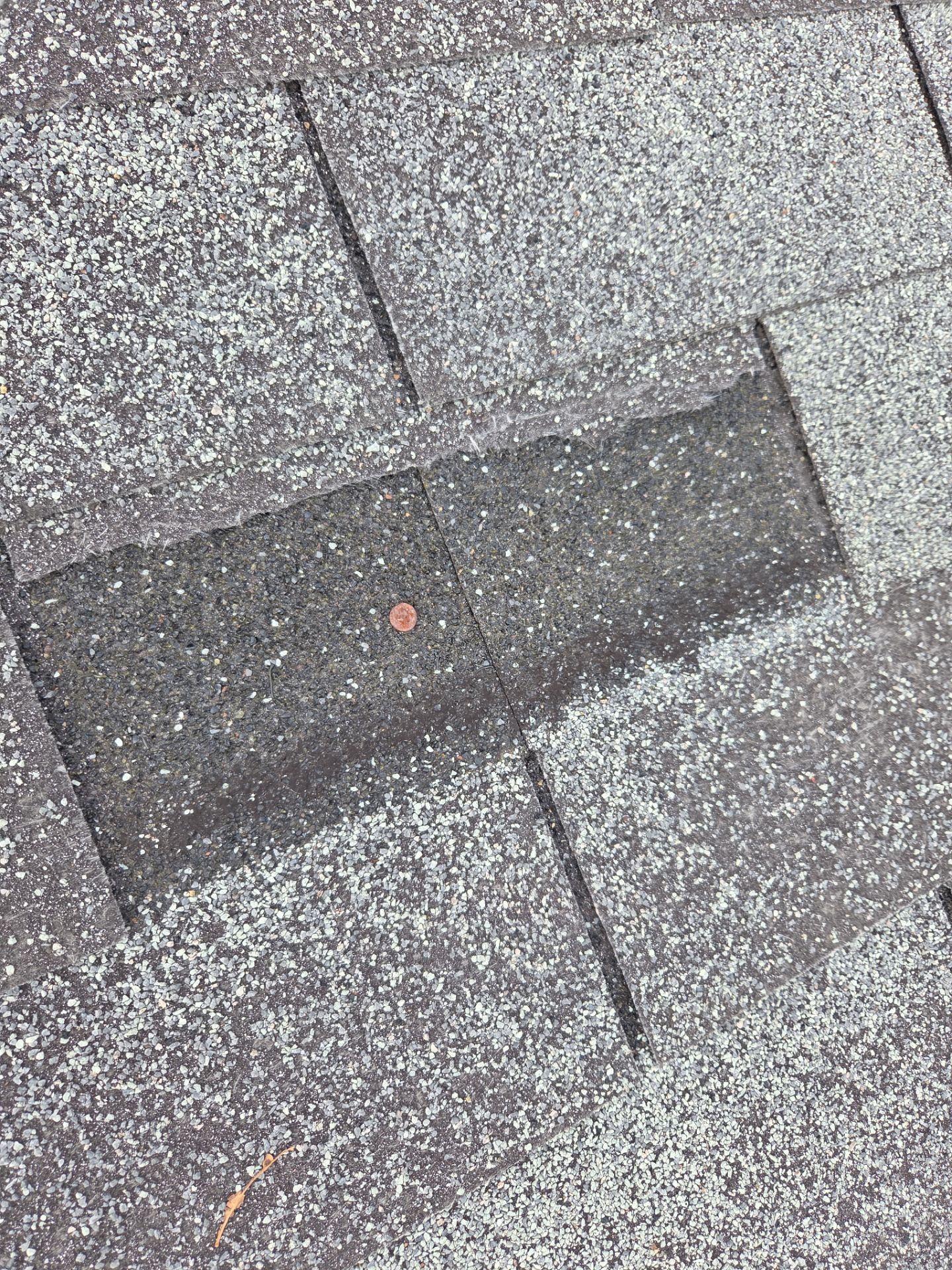 Asphalt Roof Replacement in Warrior by NANOROOF Alabama