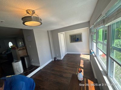 Mold Inspection & Mold Removal In St. Petersburg, FL