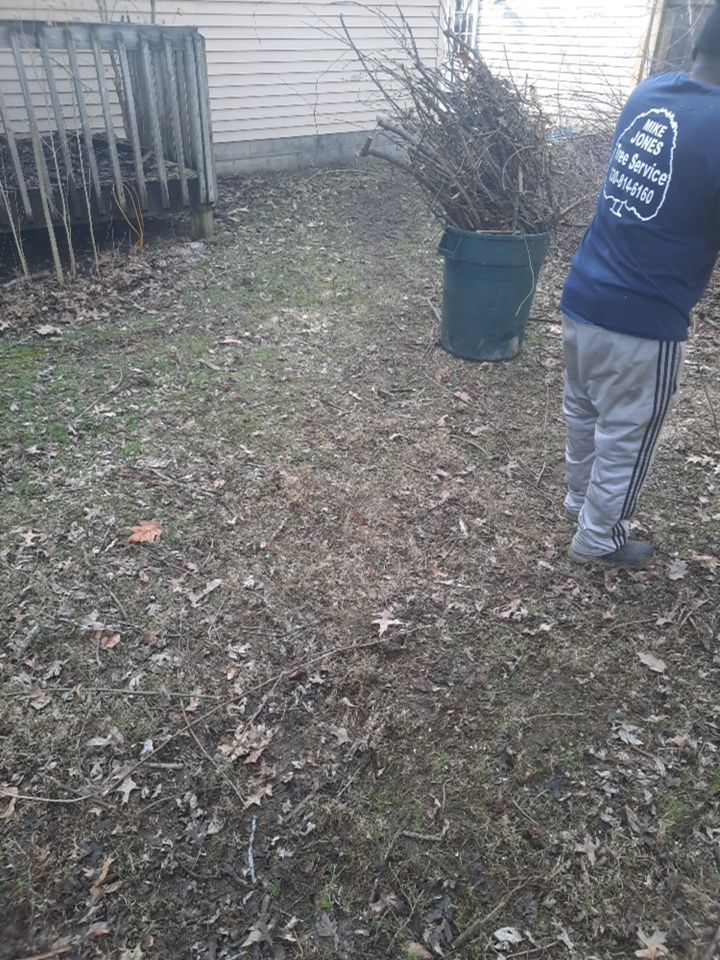 Tree Removal using Tree Removal by Mike Jones & Sons Tree Service LLC 