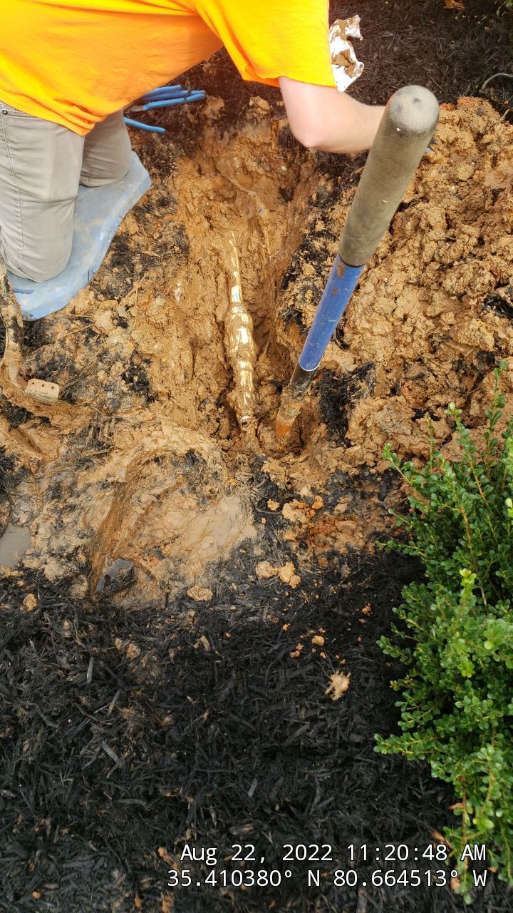 Harris Teeter Fuel Station Project Concord NC - (Commercial) by Carolina-Metro Landscape, Inc