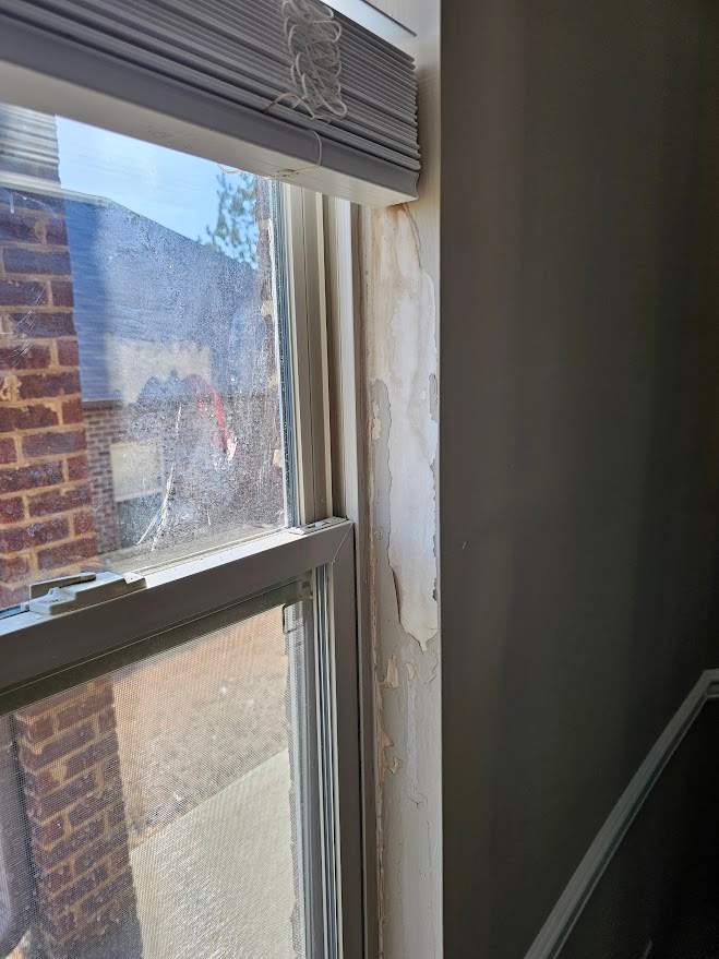 James Project in Leeds by The Window Source