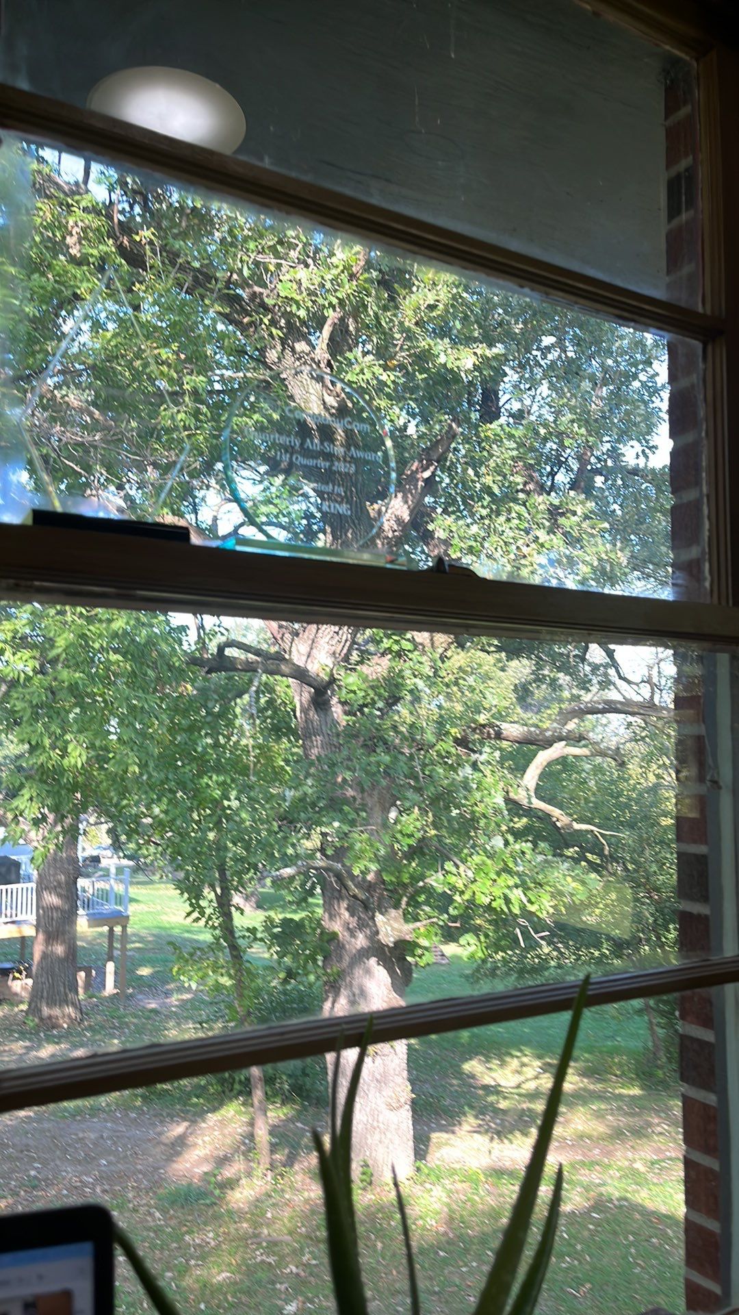 kjbgkljhgklhjg by CompanyCam Sales Demo