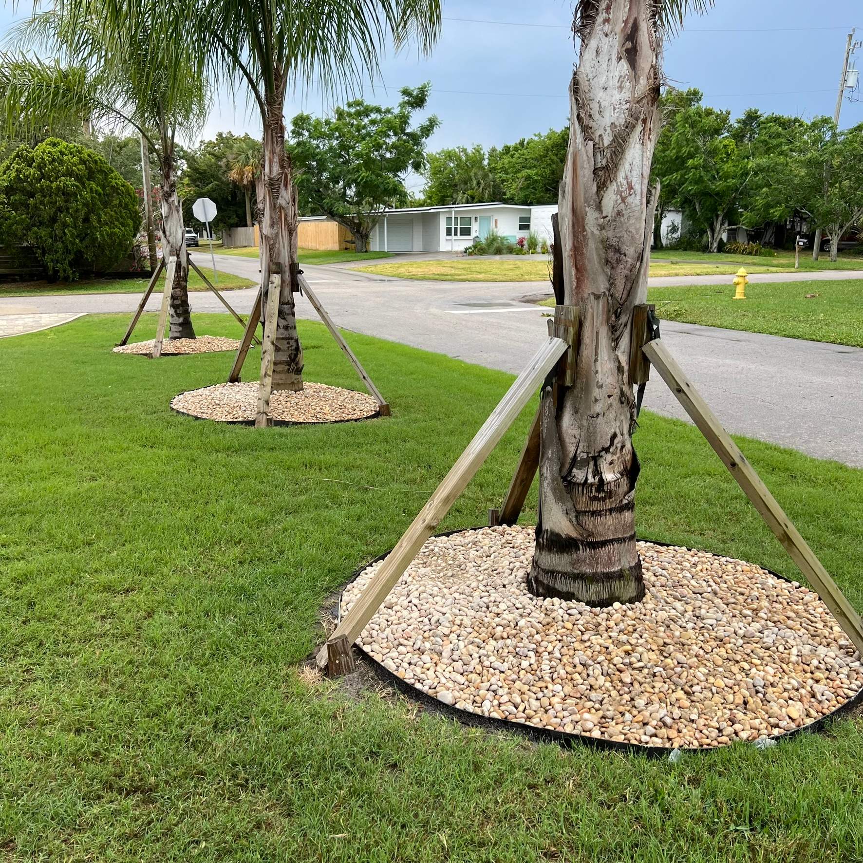 Rock & Agave Installation | Residential by ProGreen Services