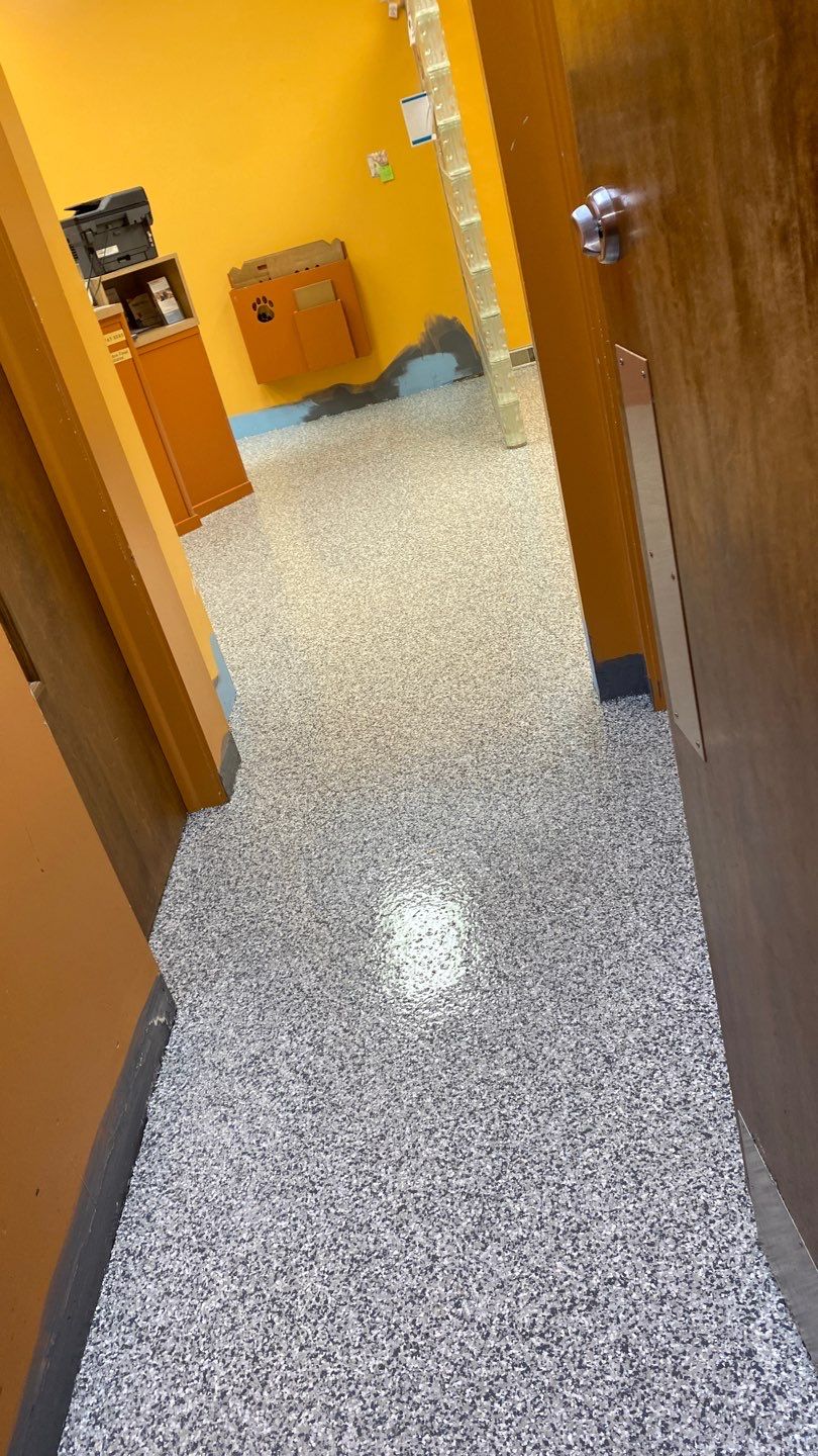 Cat Hospital Project in Pittsburgh by Floors in a Day, Inc