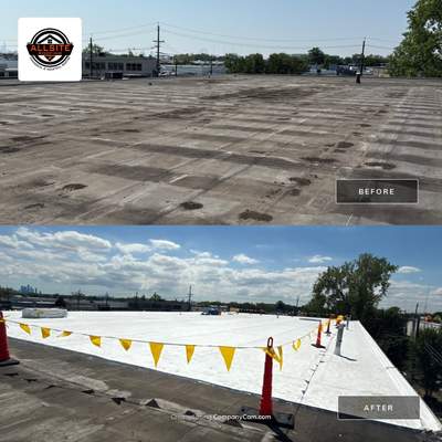 Commercial TPO Roof Replacement