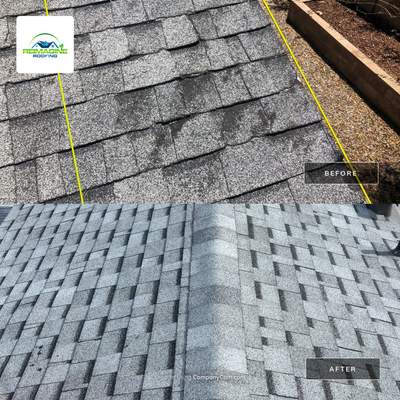 Pewter Gray Shingles