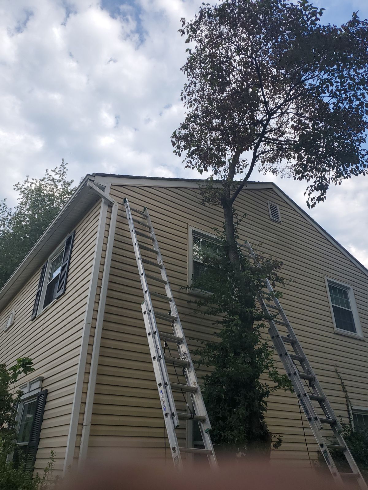 Todd Harris by Silver Leaf Contracting 