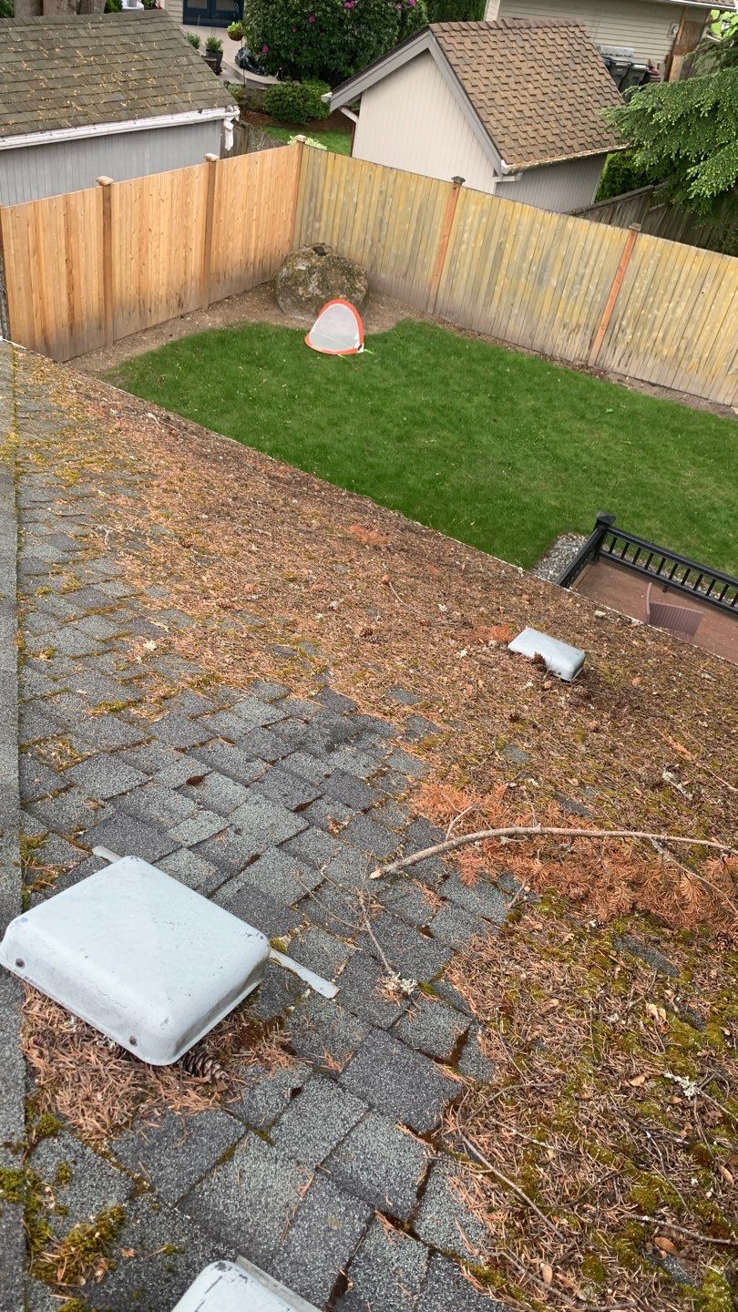 Softwashed in many Years back, and organic regrowth significant by DawnSky LLC