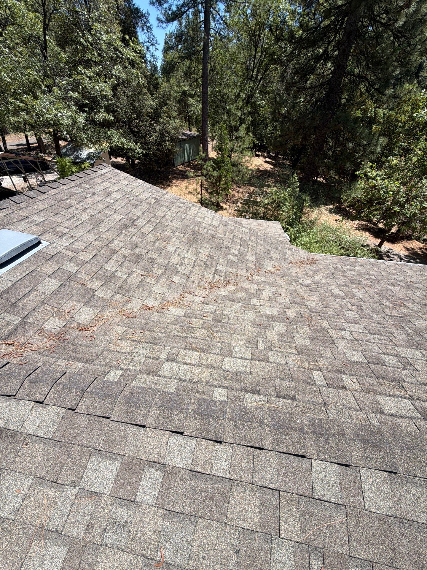Roof Rejuvenation using Roof Maxx Treatment by Roof Maxx of Folsom