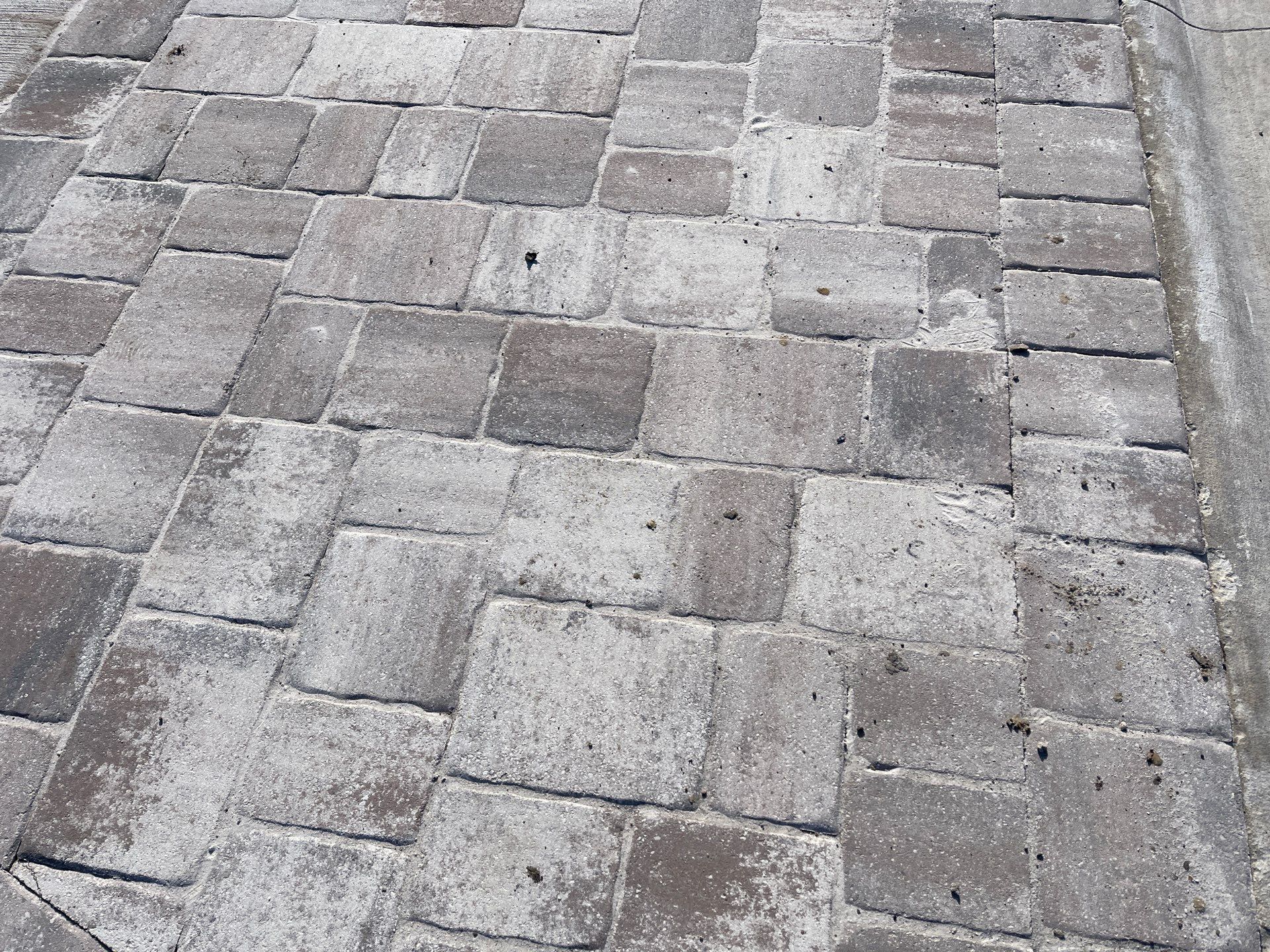 Pavers using Concrete Sealant and PolySand by DuraSeal