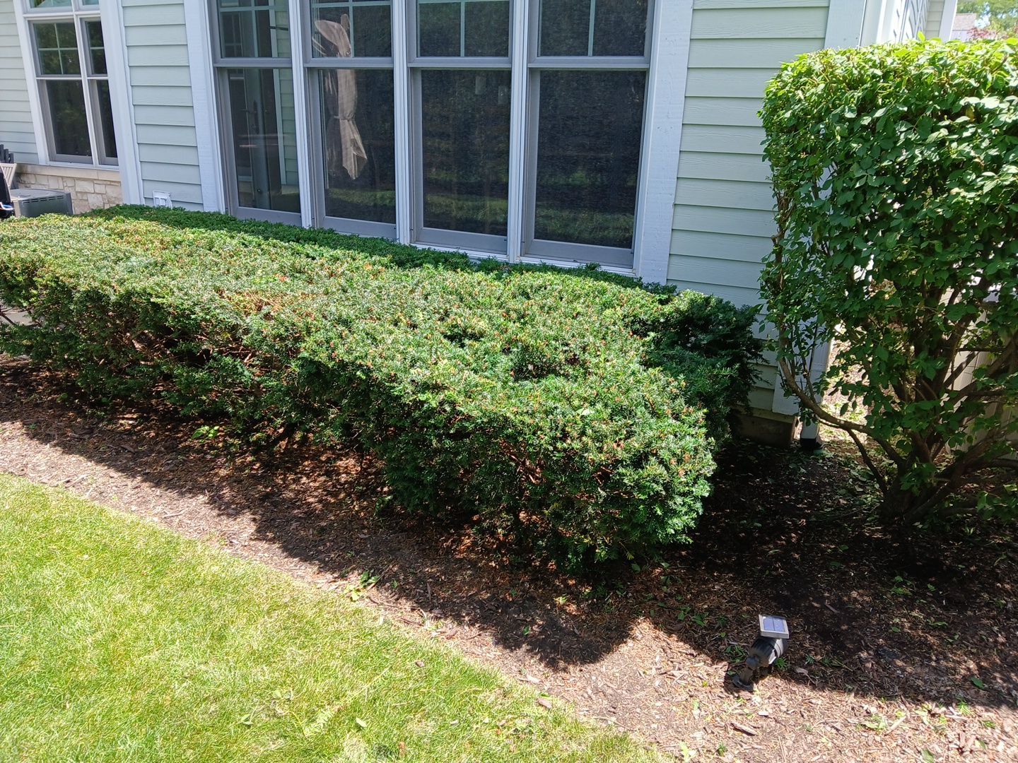 Lisa C. - Arlington Heights, IL by A&N