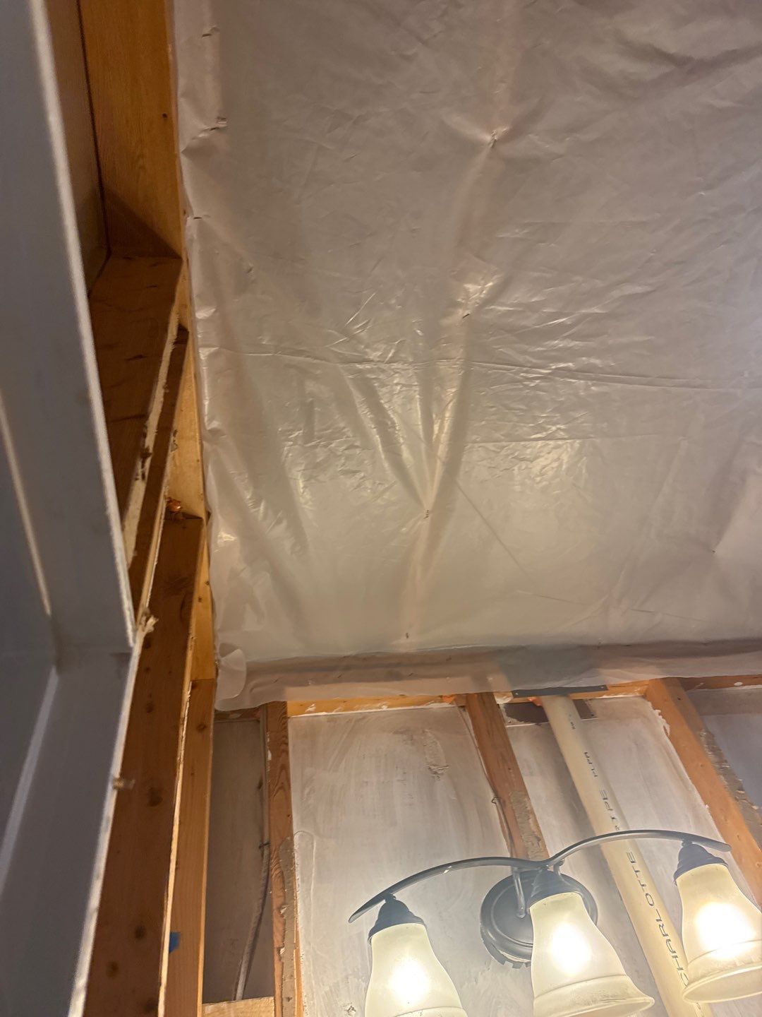 Bathroom and Crawlspace Water Damage and Mold by Healthy Home Solutions