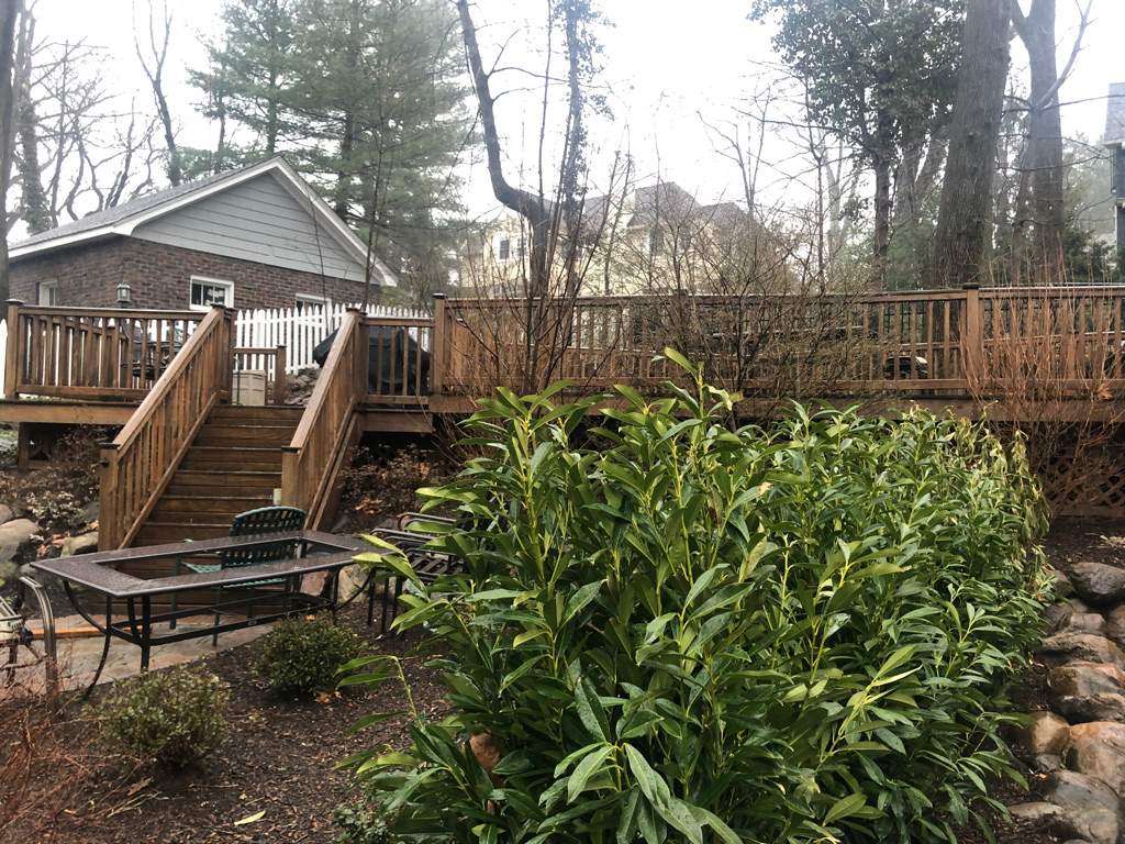 Deck Resurfacing in Maplewood, New Jersey by deck guardian