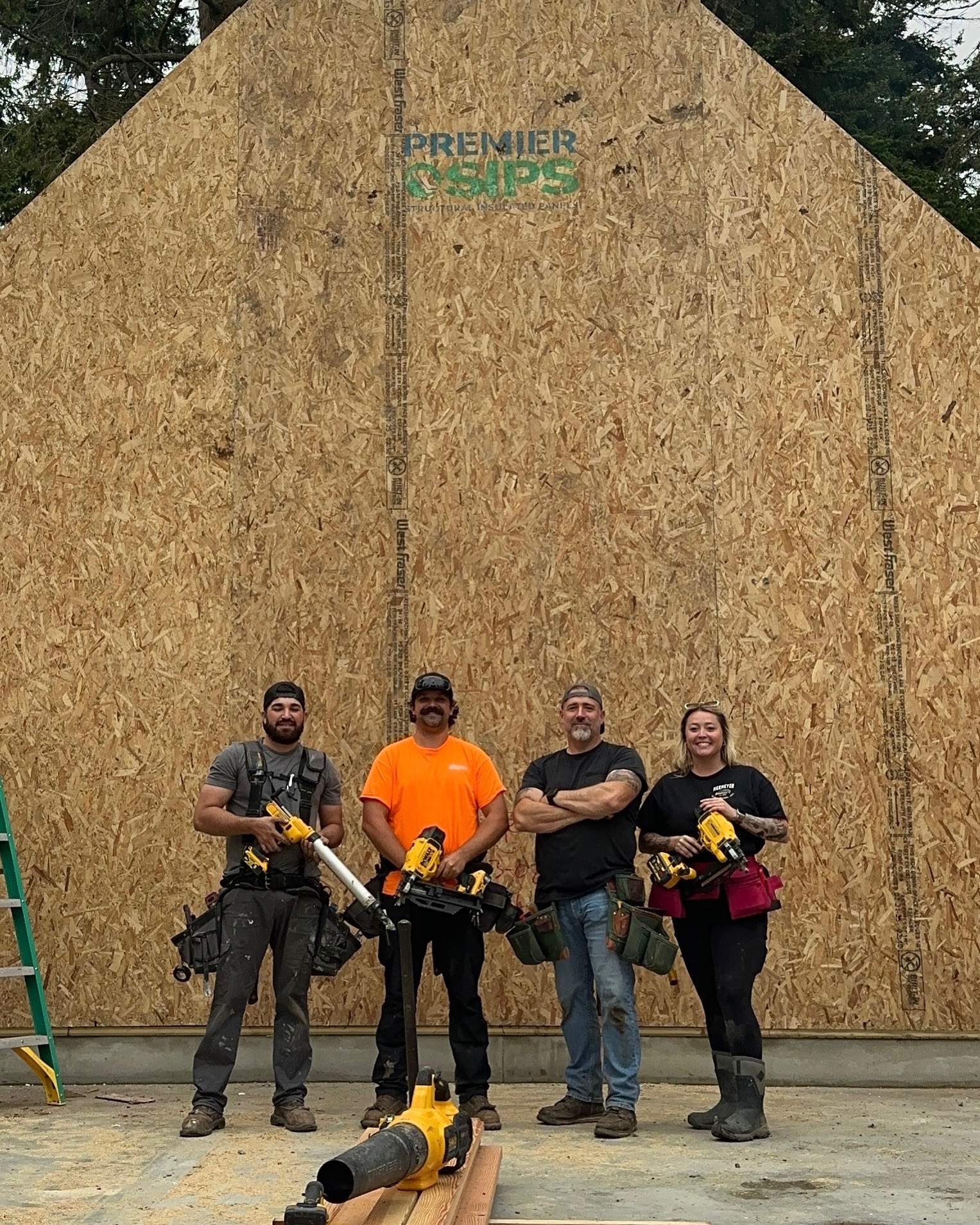 SIP Panel Framing by No 7 Development