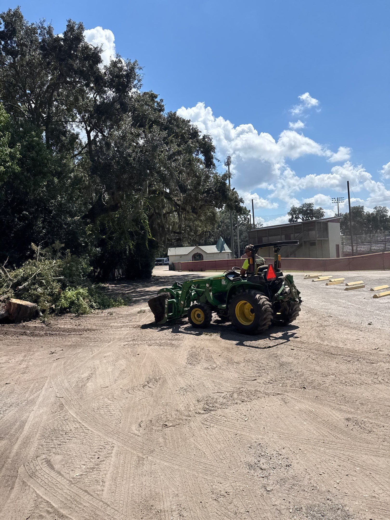 Tree Removal | Episcopal Softball Field by ProGreen Services