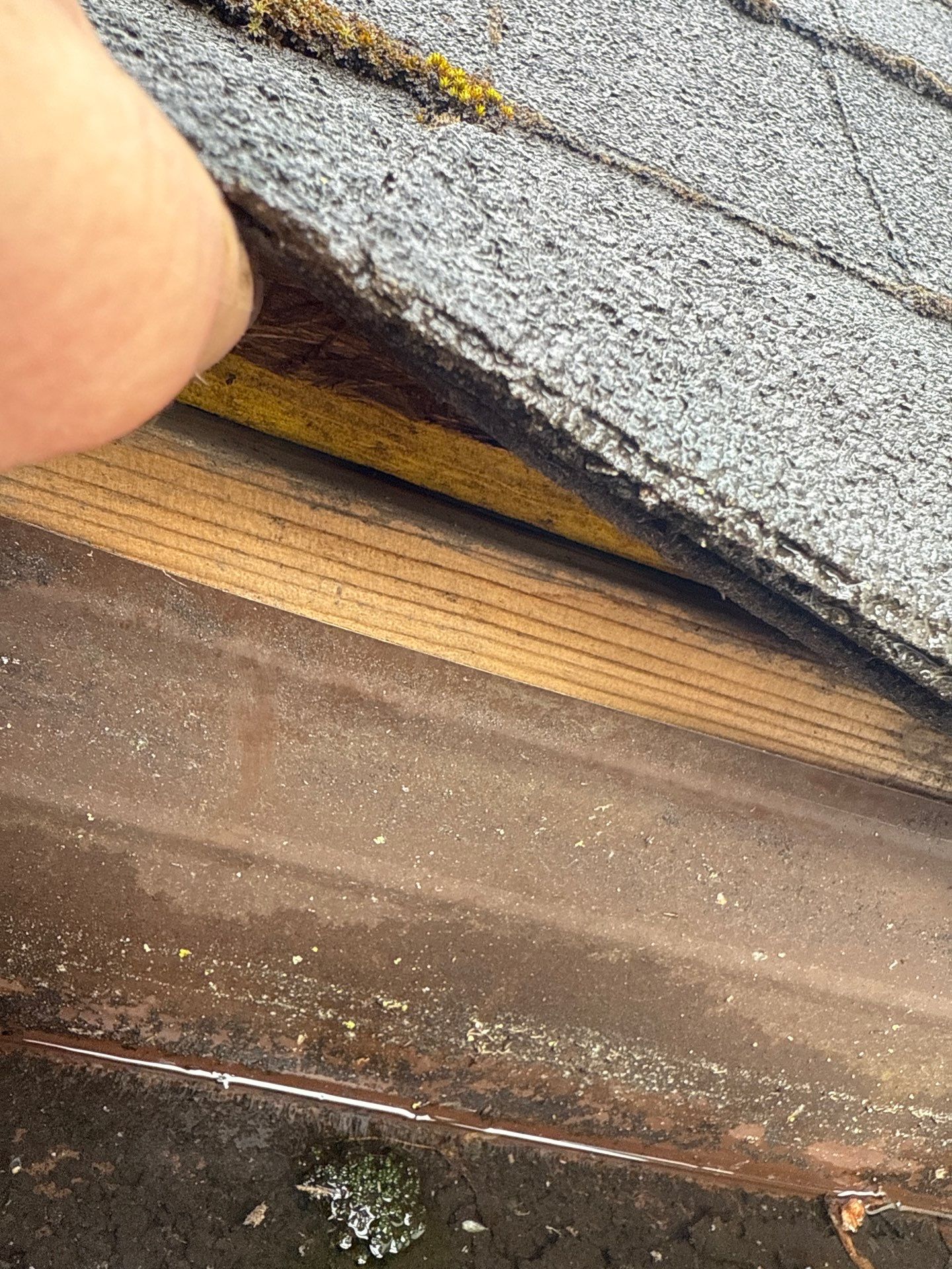 Residential Reroof Shingle by Top Notch Roofing Inc