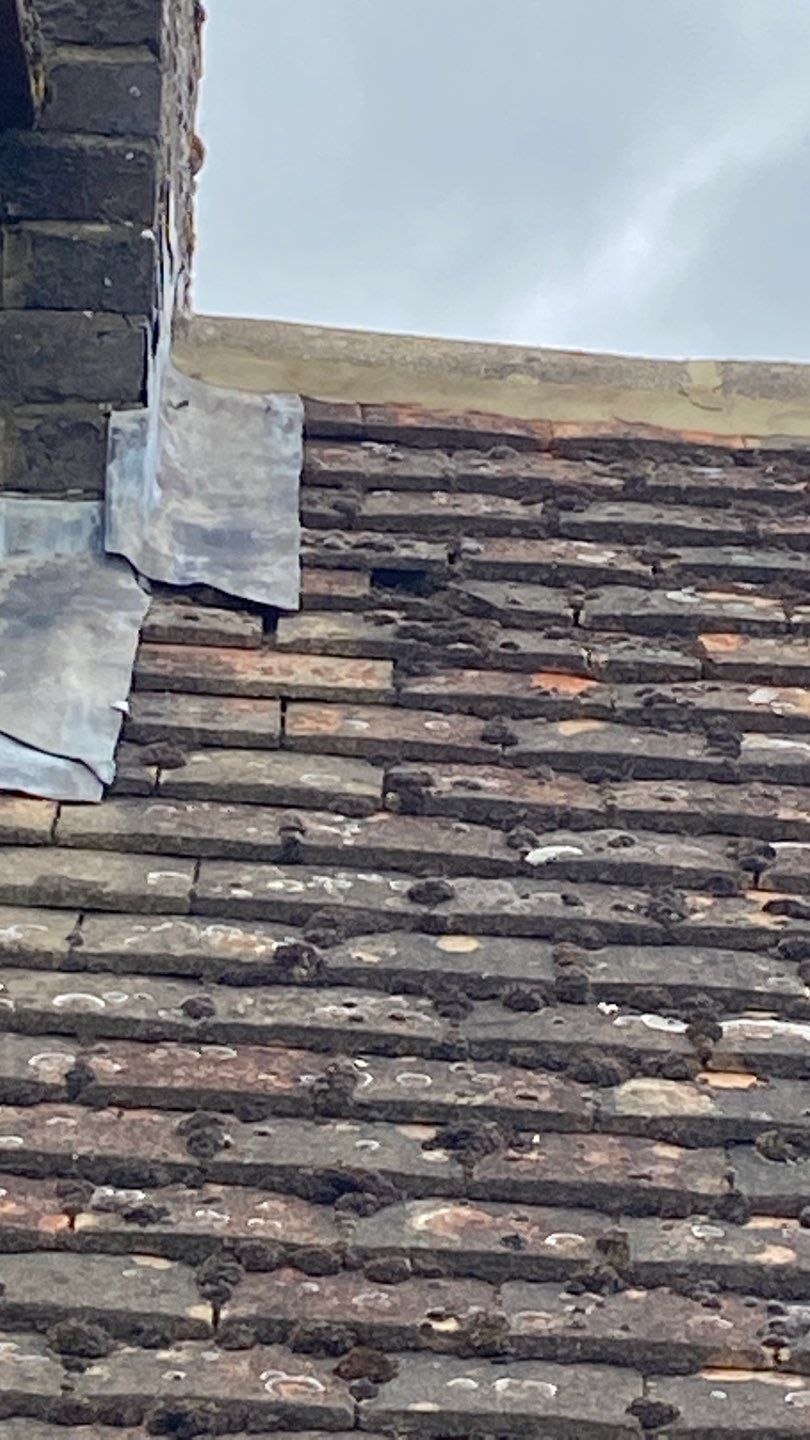 Roof Clean - Moss Removal using Honda 15lpm Low Pressure Washing Machine by Ges Exterior Cleaning ltd