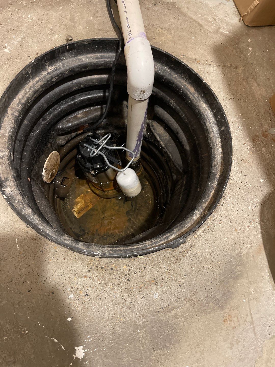 Peace of Mind for Molly’s New Home by Waterproofing Northeast